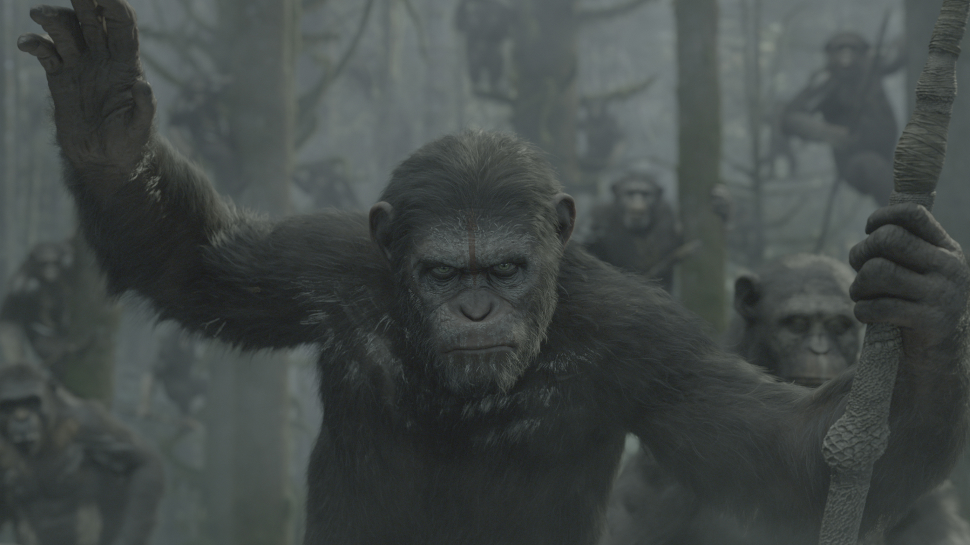 645324 baixar papel de parede filme, planeta dos macacos: o confronto - protetores de tela e imagens gratuitamente