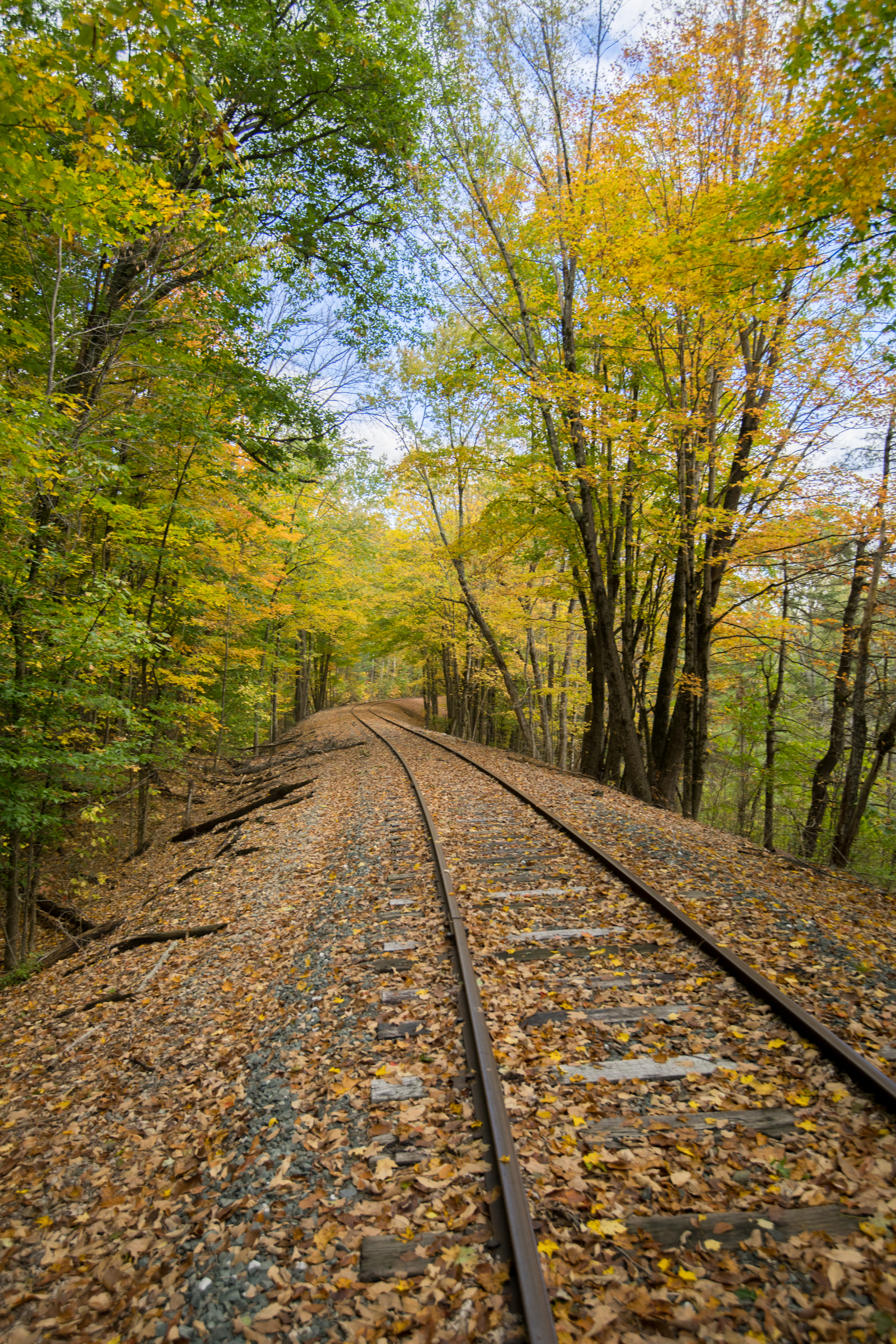 60951 скачать картинку осень, железная дорога, природа, деревья, рельсы - обои и заставки бесплатно