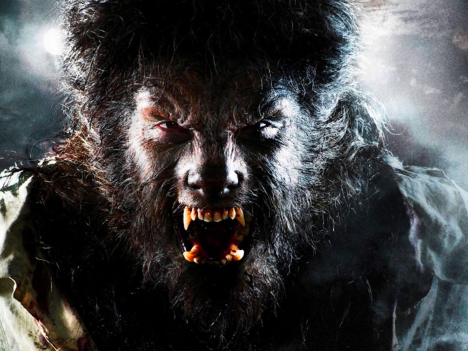 Download mobile wallpaper Werewolf, Dark for free.
