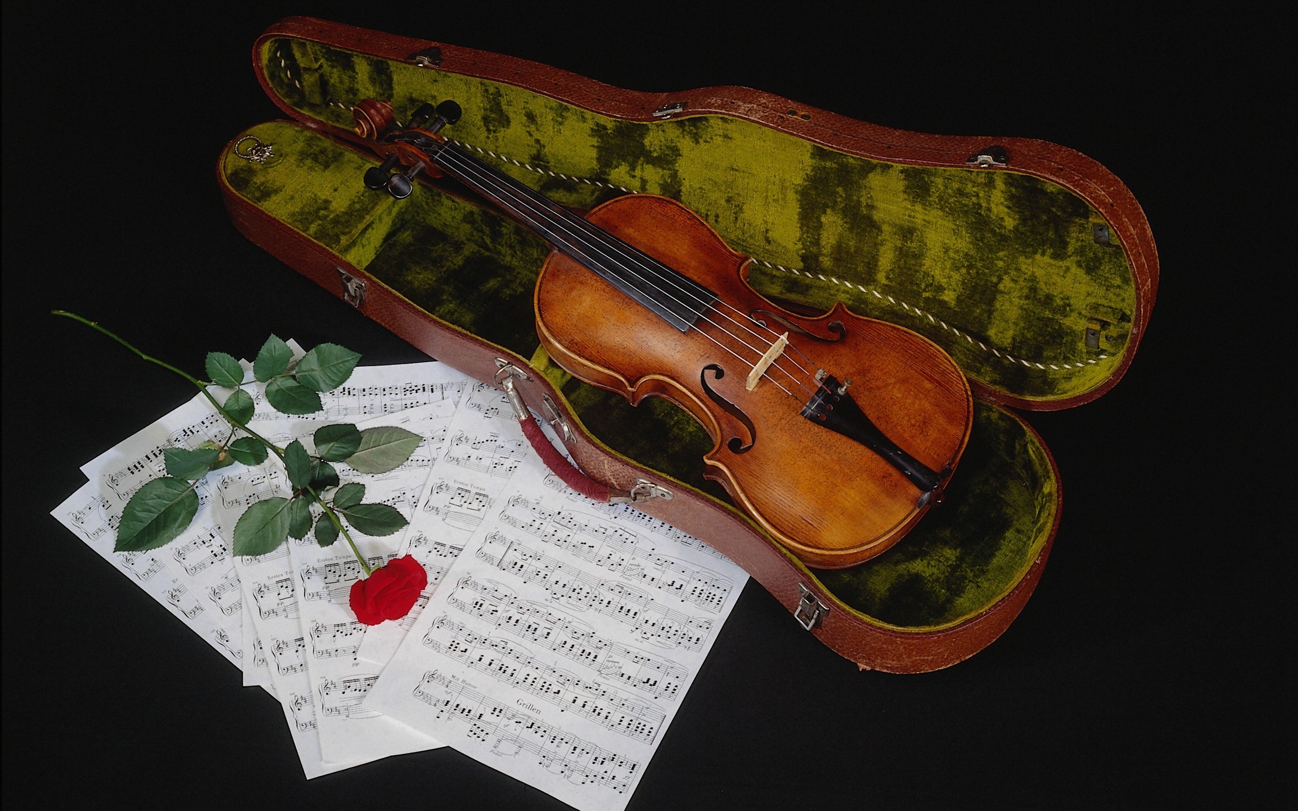 music, violin, instrument, red rose, sheet music, still life
