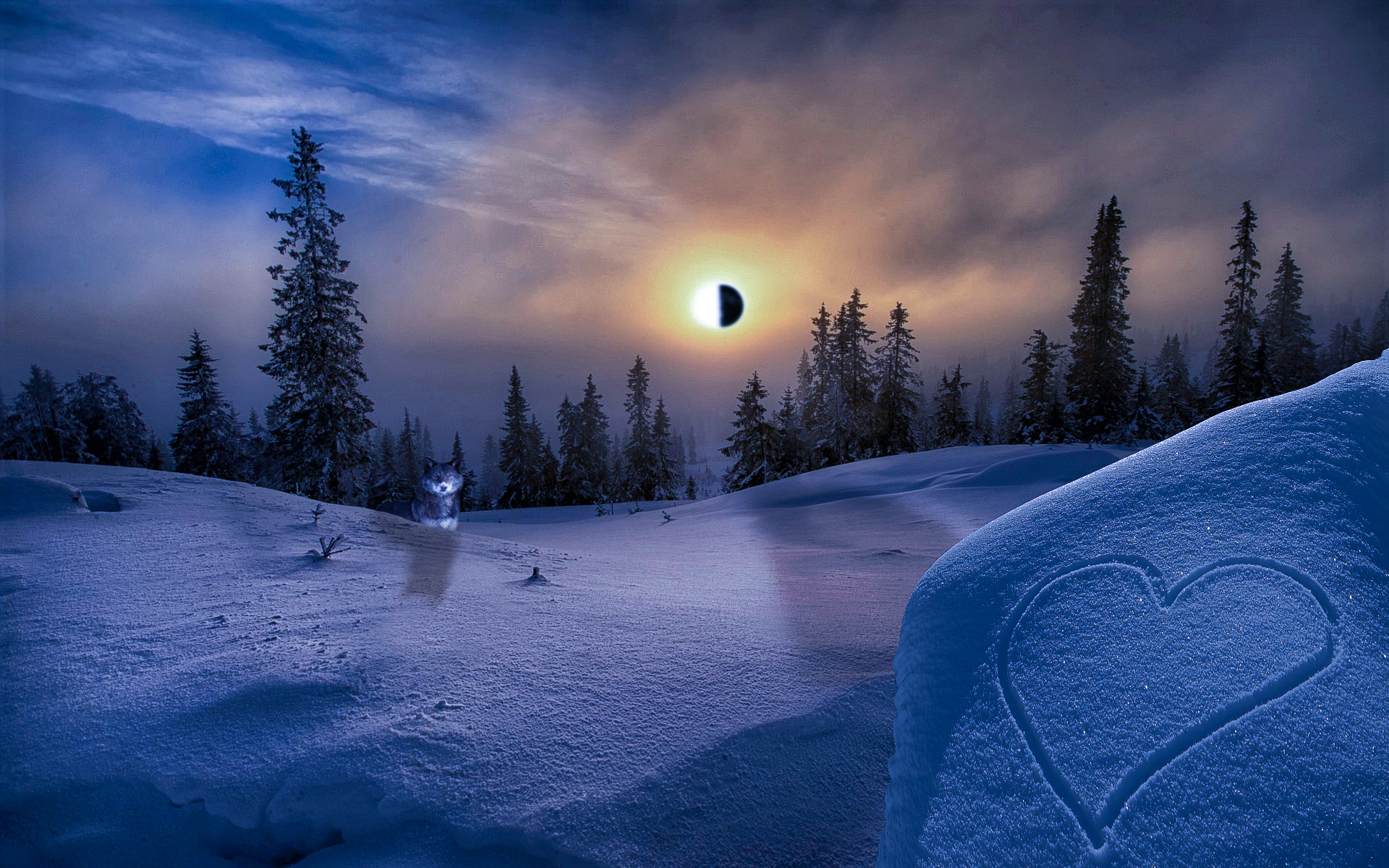 Free download wallpaper Winter, Sunset, Sky, Snow, Forest, Earth, Wolf, Eclipse on your PC desktop