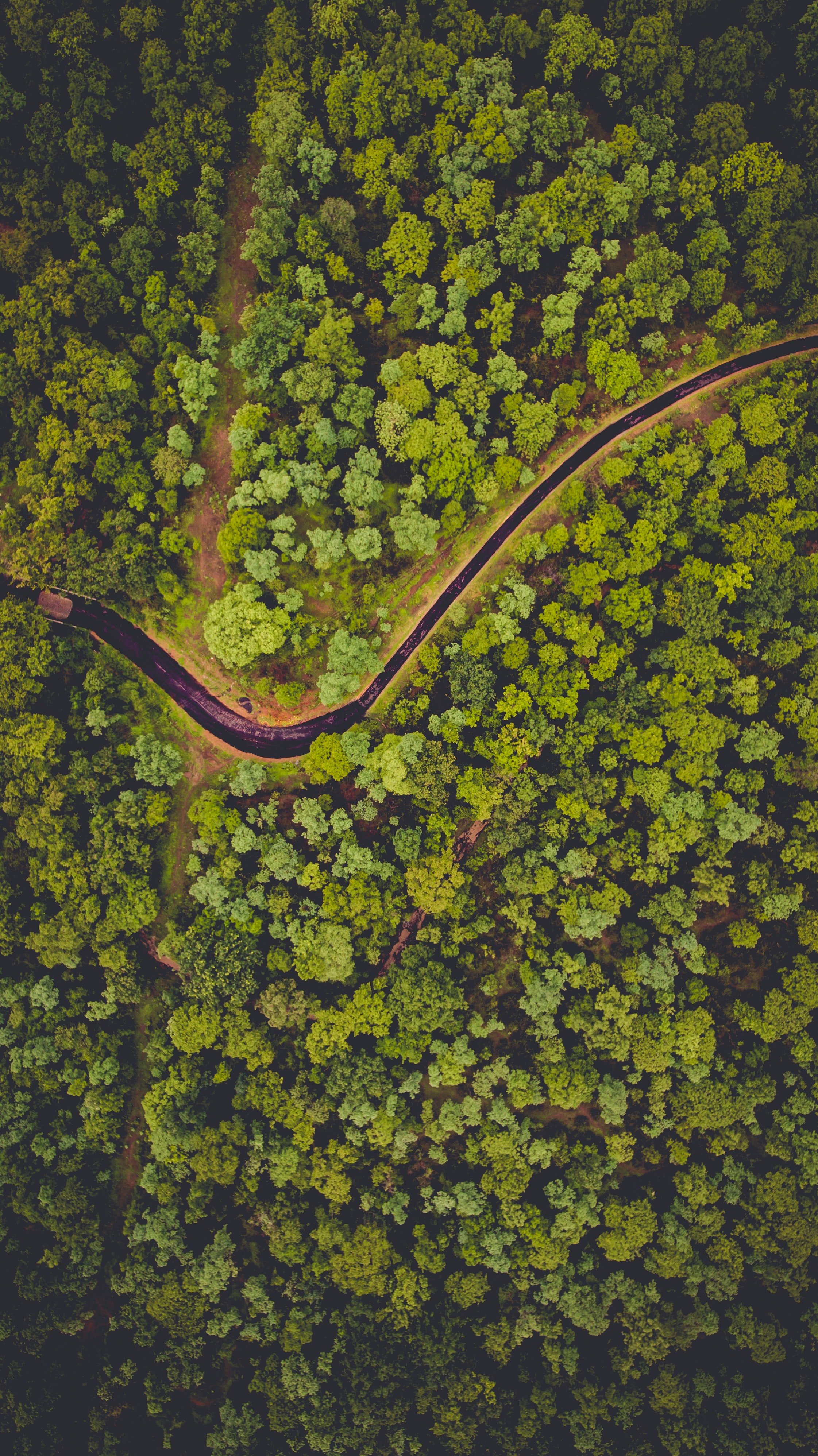Download mobile wallpaper View From Above, Forest, Rivers, Nature for free.