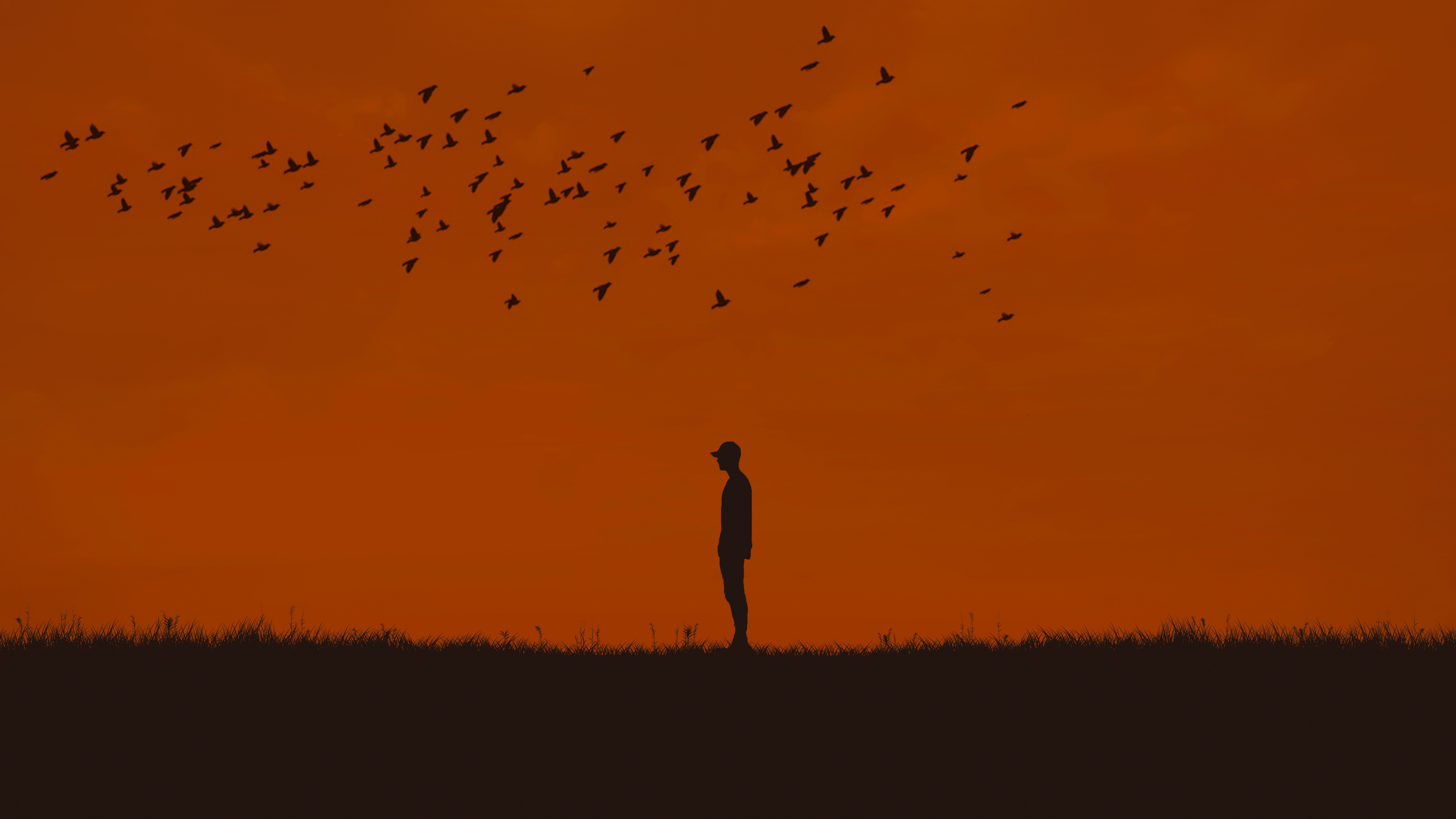 Download mobile wallpaper Person, Silhouette, Human, Birds, Minimalism for free.