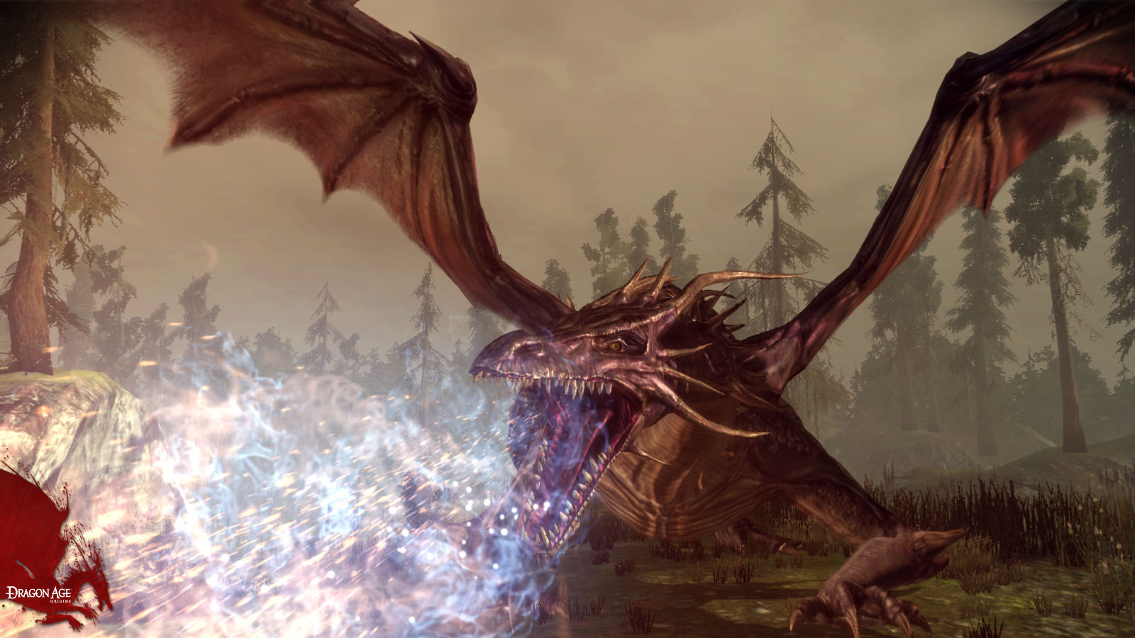 Laden Sie das Dragon Age: Origins, Computerspiele, Drachenzeit-Bild kostenlos auf Ihren PC-Desktop herunter