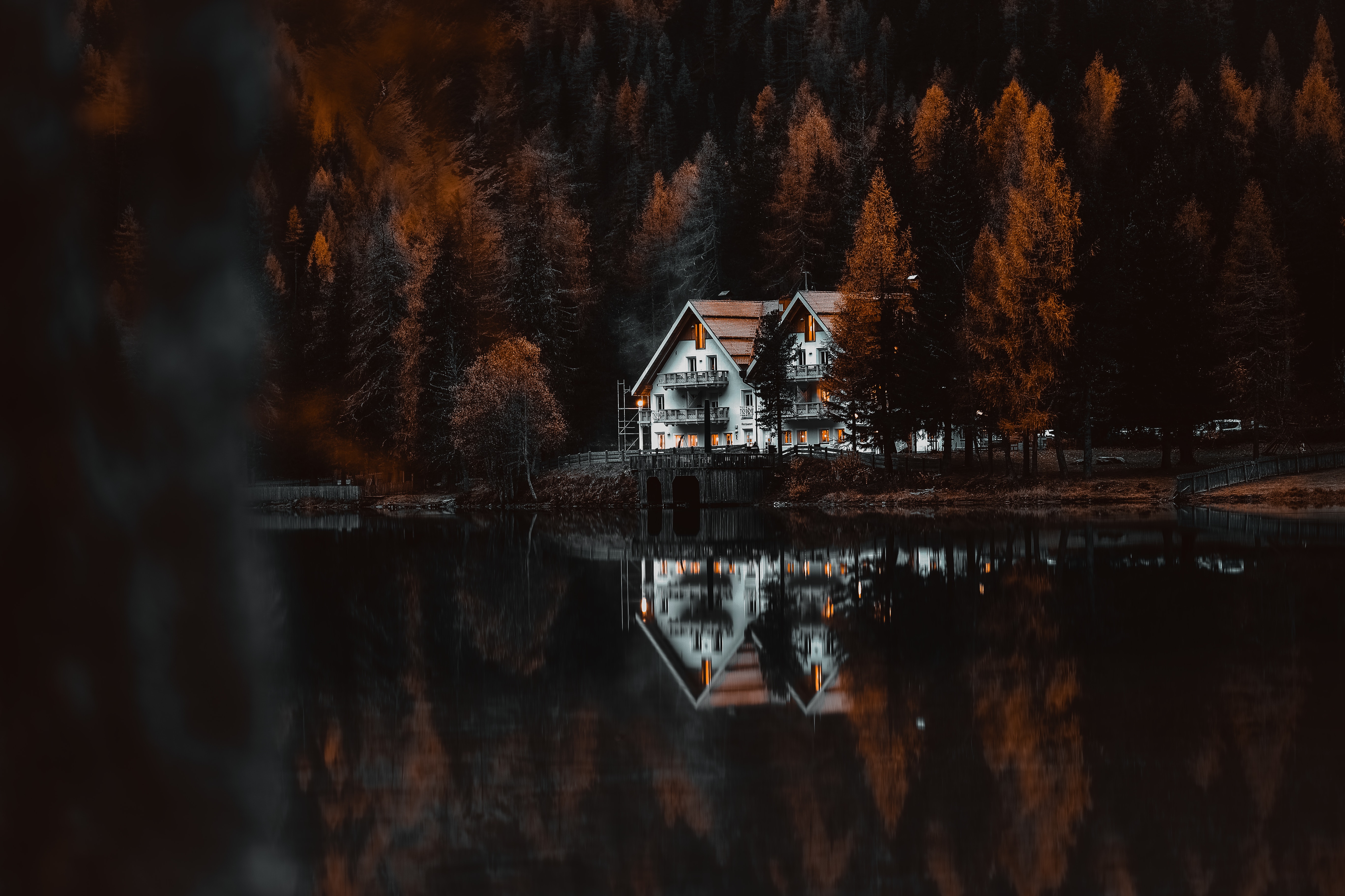forest, lake, nature, houses, shore, bank, small houses