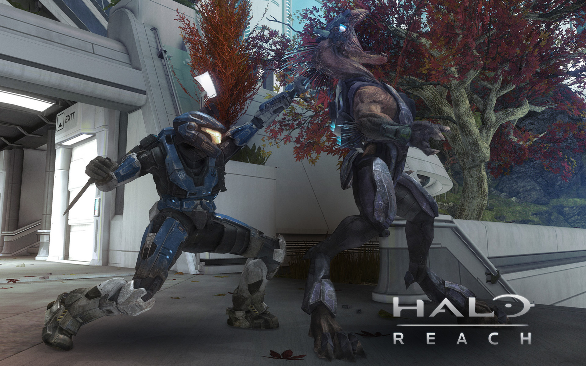 Free download wallpaper Halo, Video Game, Halo: Reach on your PC desktop