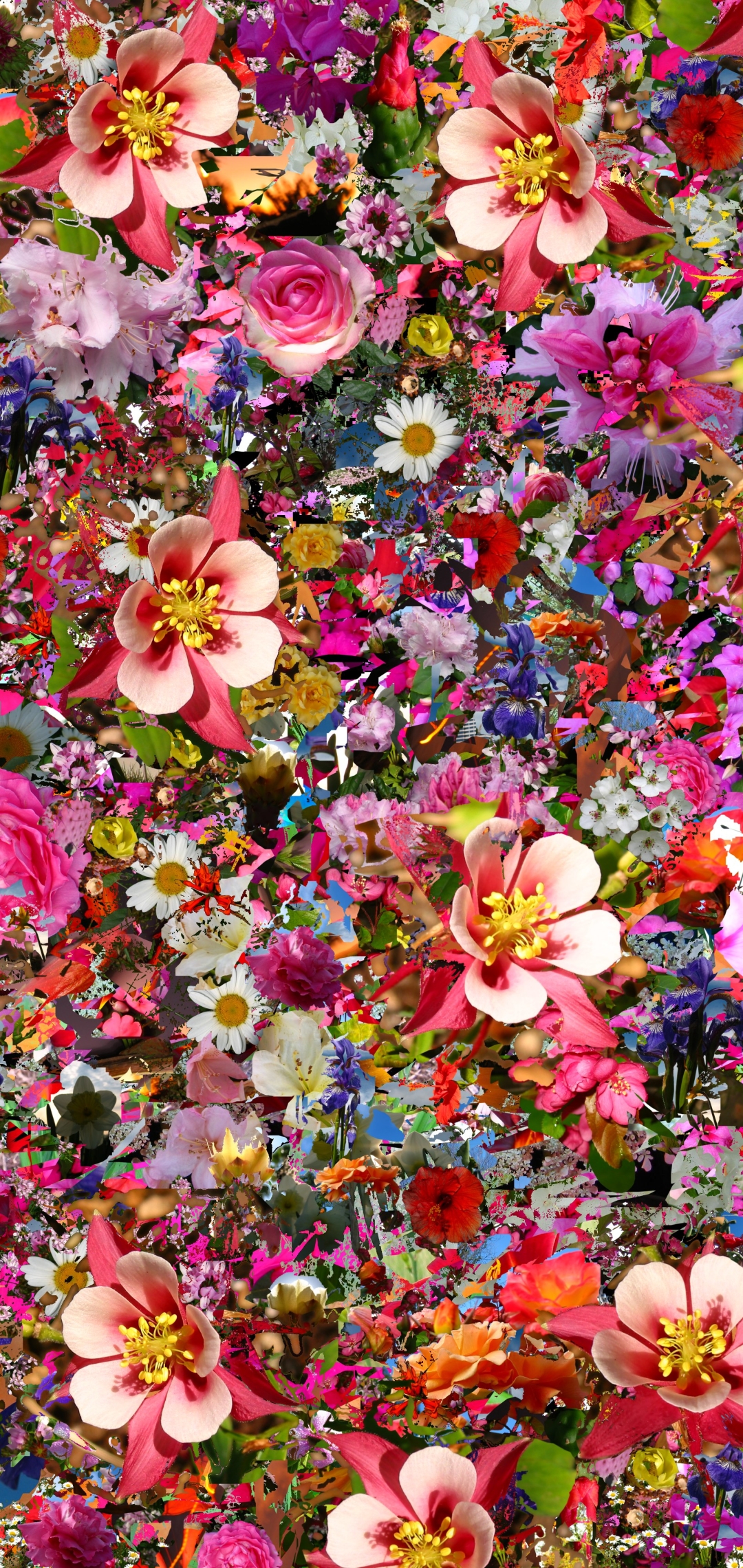 Handy-Wallpaper Blumen, Blume, Farben, Bunt, Künstlerisch kostenlos herunterladen.