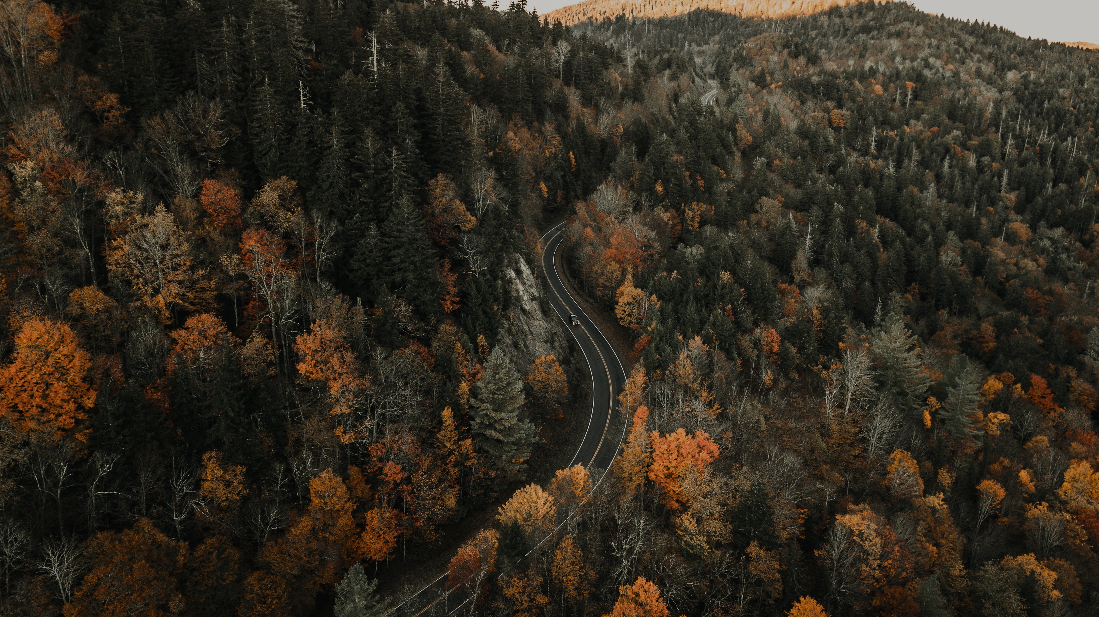 Laden Sie das Natur, Blick Von Oben, Straße, Der Verkehr, Bewegung, Wald, Herbst-Bild kostenlos auf Ihren PC-Desktop herunter