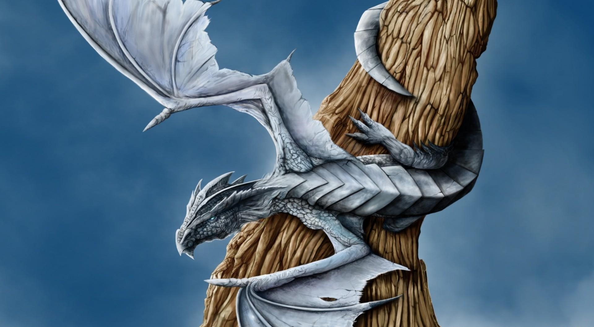 76552 télécharger l'image le dragon, fantaisie, bois, arbre, ailes, aile, dragon, enchevêtrement, l’overwest - fonds d'écran et économiseurs d'écran gratuits
