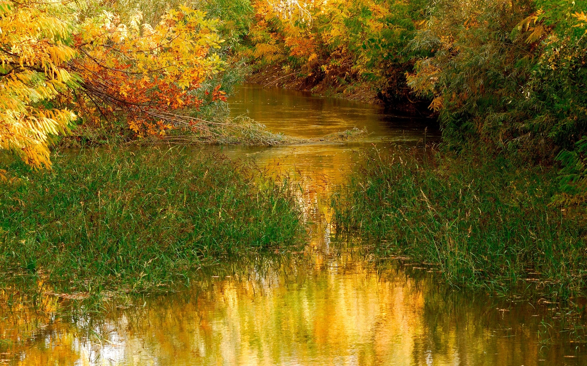 Free download wallpaper Landscape, Rivers, Grass, Autumn on your PC desktop