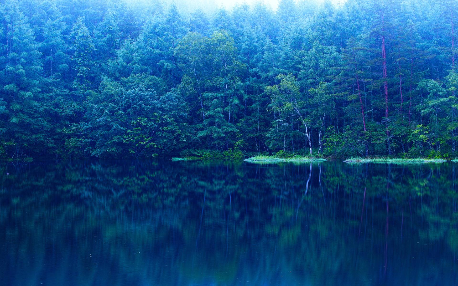 Free download wallpaper Landscape, Water, Trees, Lakes on your PC desktop