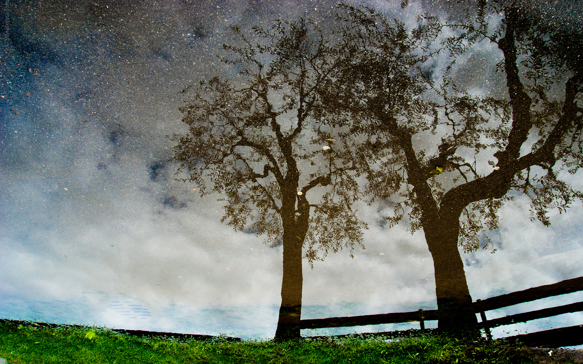 Baixar papel de parede para celular de Céu, Terra/natureza gratuito.