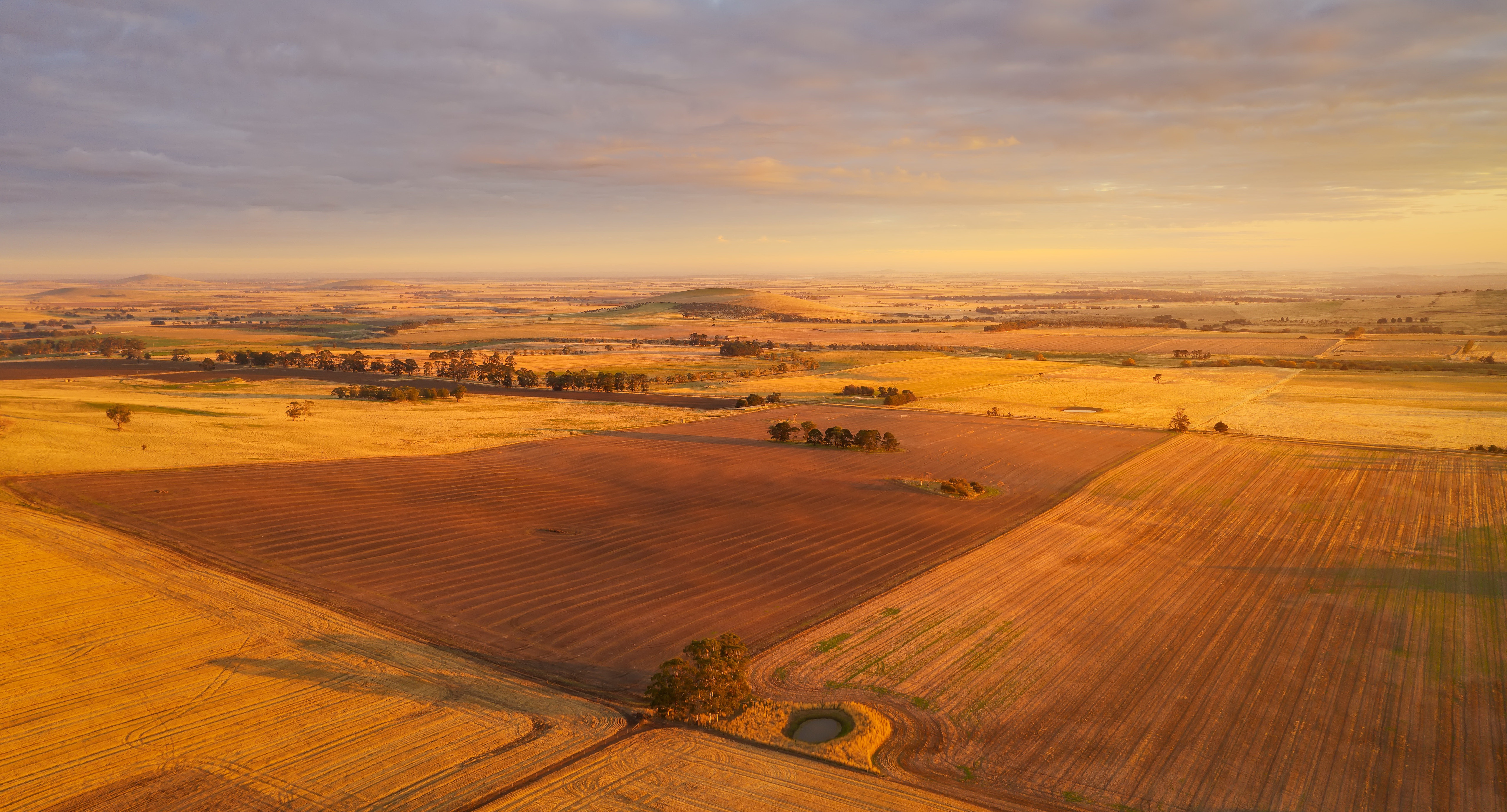 Free download wallpaper Earth, Field on your PC desktop