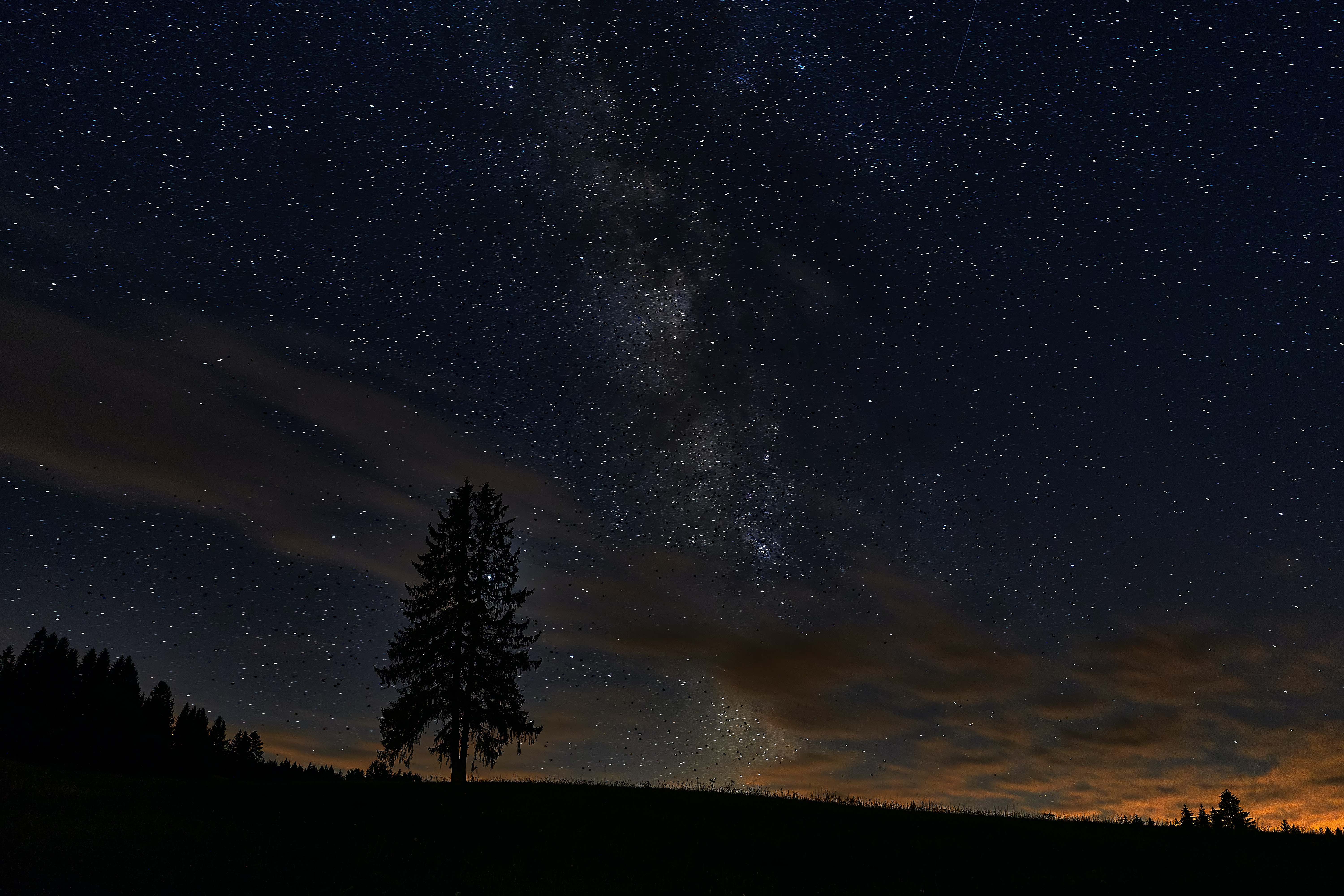 Free download wallpaper Nature, Night, Tree, Starry Sky, Spruce, Fir, Stars, Wood on your PC desktop