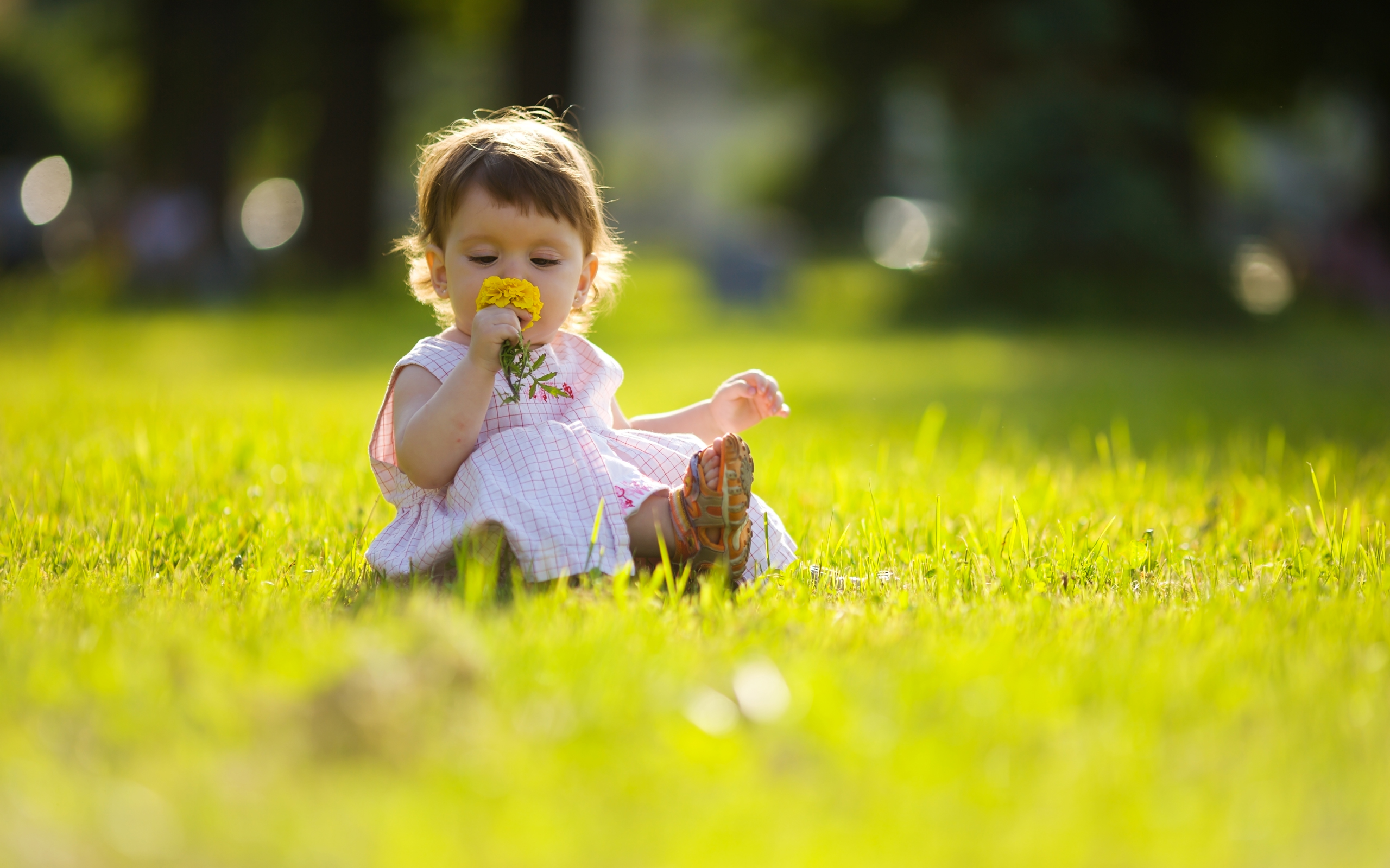 Laden Sie das Fotografie, Baby-Bild kostenlos auf Ihren PC-Desktop herunter