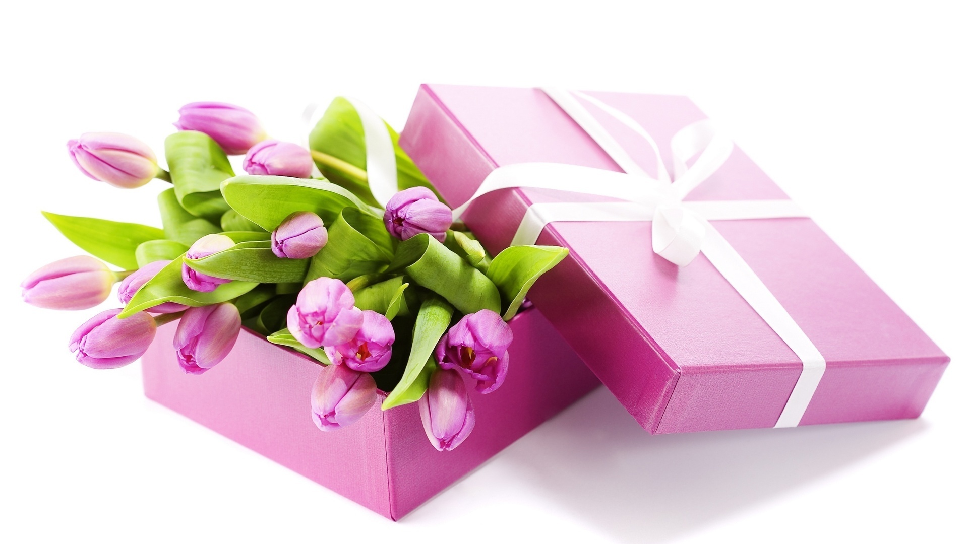 27278 descargar imagen tulipanes, plantas, flores, bouquets: fondos de pantalla y protectores de pantalla gratis