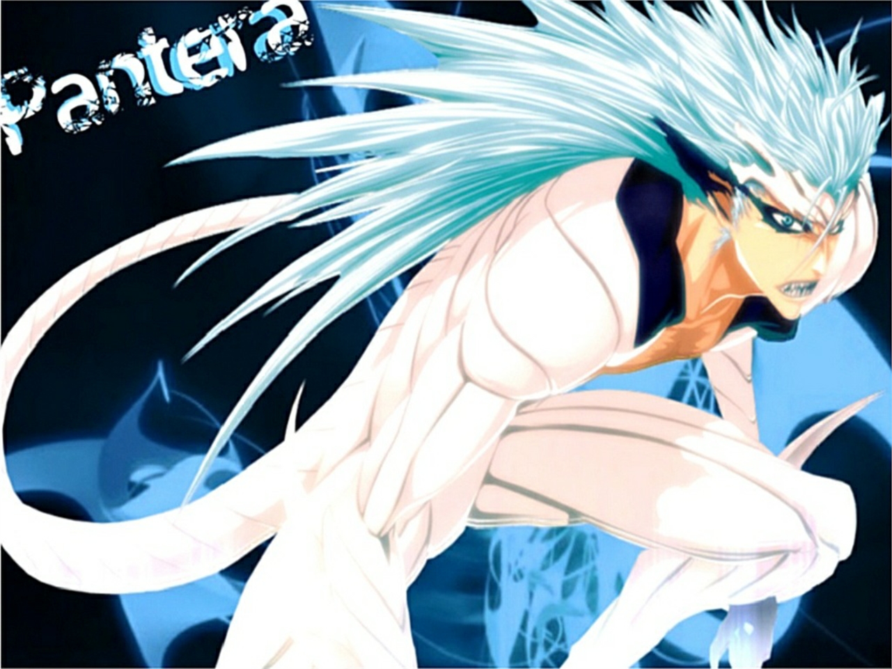 Free download wallpaper Anime, Bleach, Grimmjow Jaegerjaquez on your PC desktop