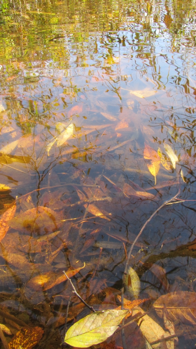 Descarga gratuita de fondo de pantalla para móvil de Agua, Tierra/naturaleza.