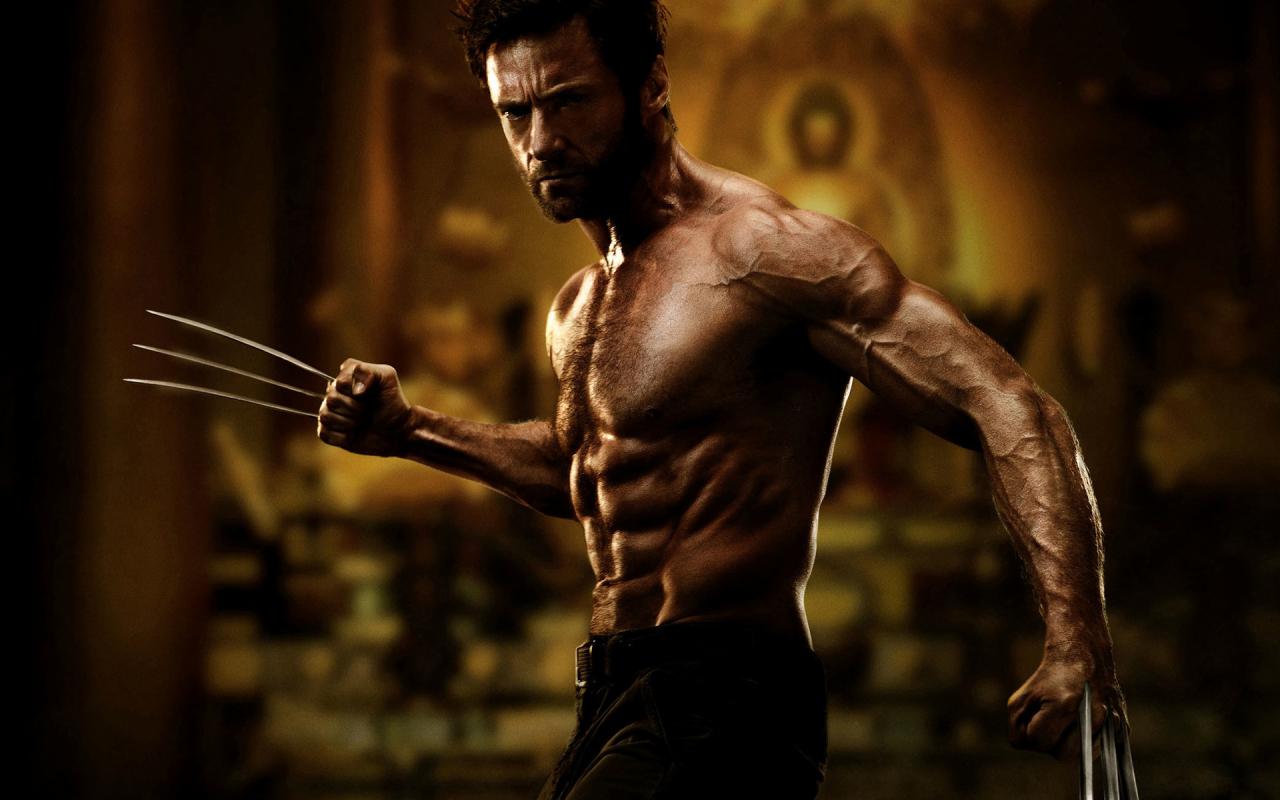 Download mobile wallpaper Hugh Jackman, Wolverine, Movie, Logan James Howlett, The Wolverine for free.