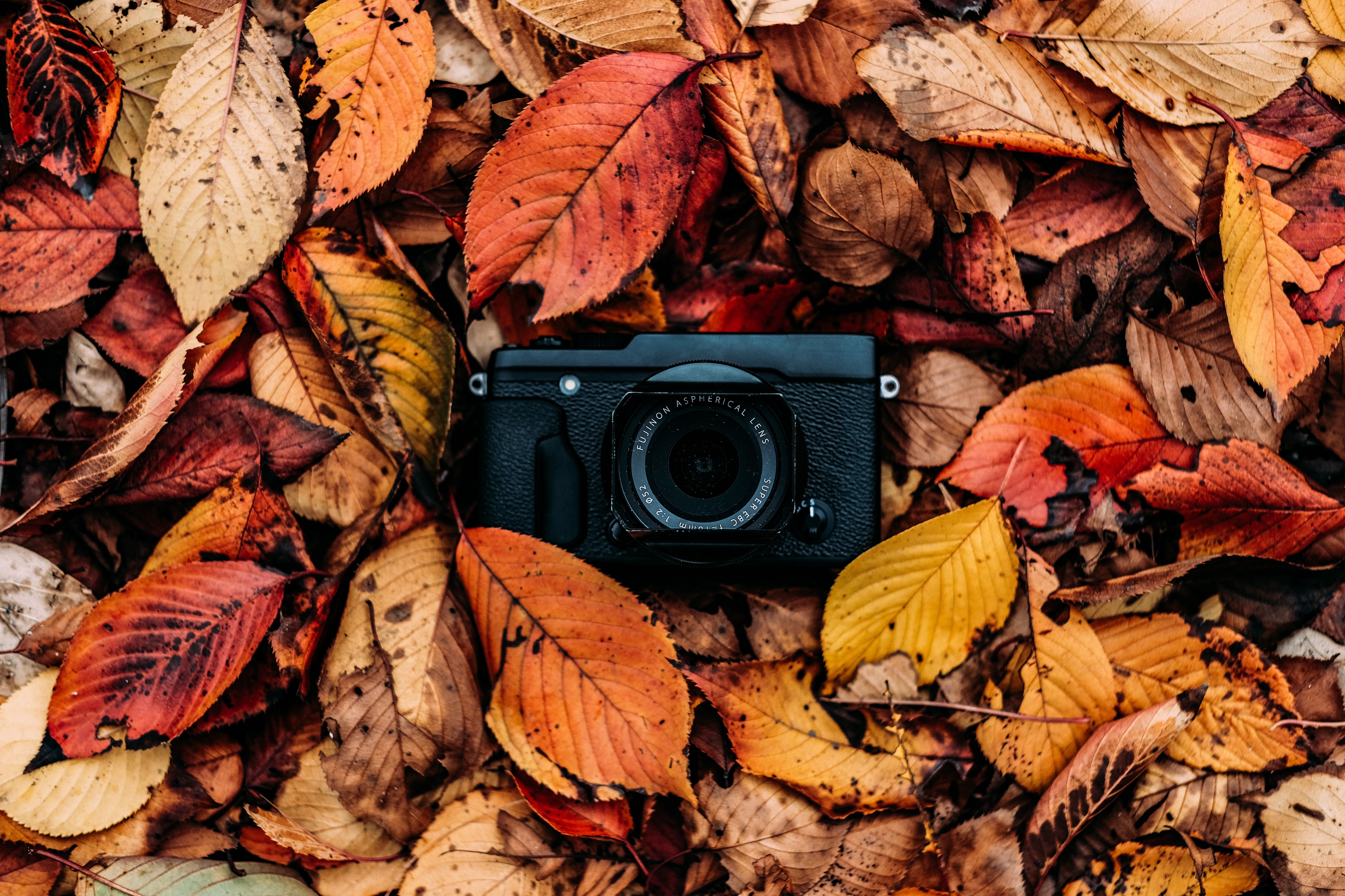 Скачать картинку Фотоаппарат, Листья, Технологии, Листва, Осень в телефон бесплатно.