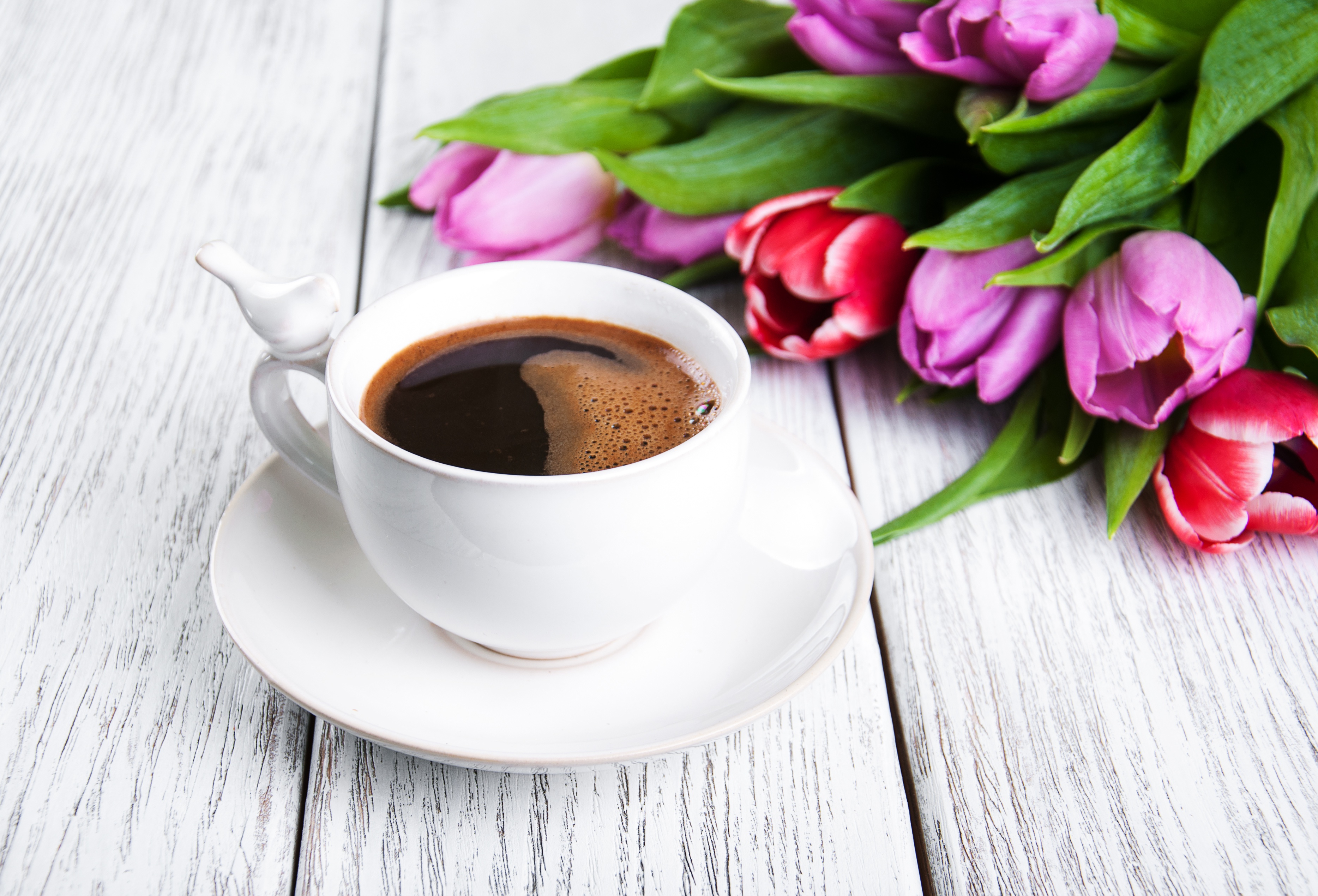 Download mobile wallpaper Food, Coffee, Flower, Cup, Tulip for free.