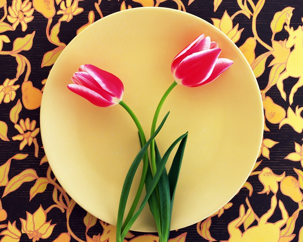 Download mobile wallpaper Flower, Tulip, Man Made for free.