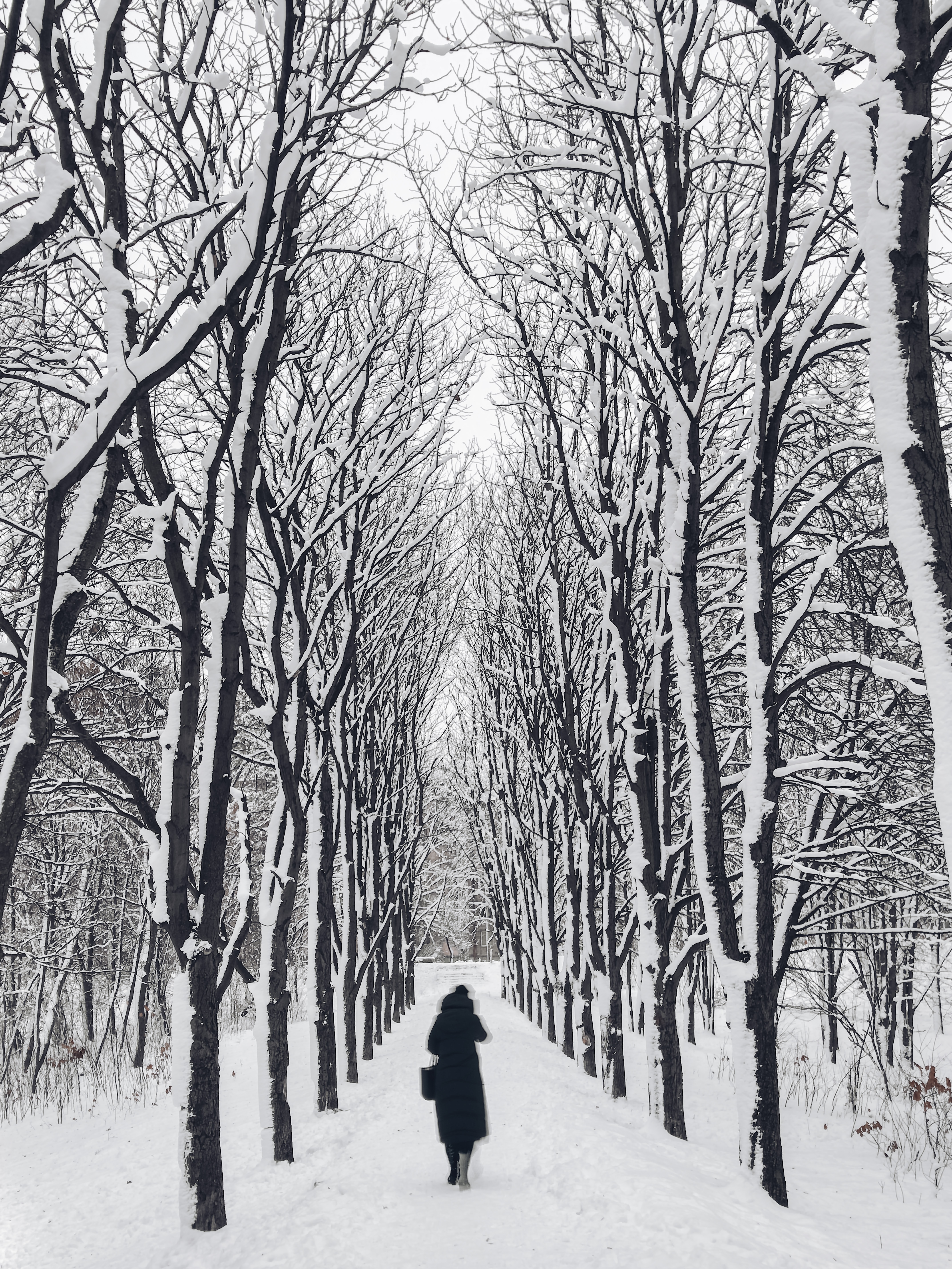 Download mobile wallpaper Path, Winter, Miscellanea, Trees, Miscellaneous, Person, Human, Garden, Loneliness for free.