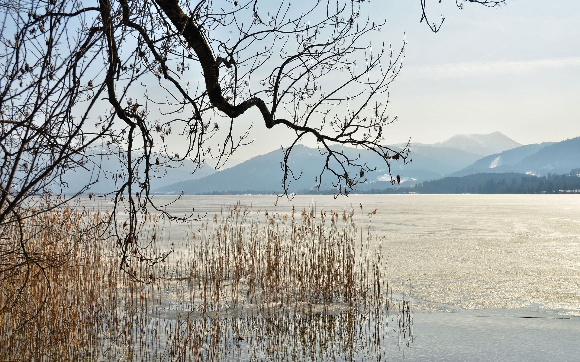 Téléchargez des papiers peints mobile Paysage, Terre/nature gratuitement.