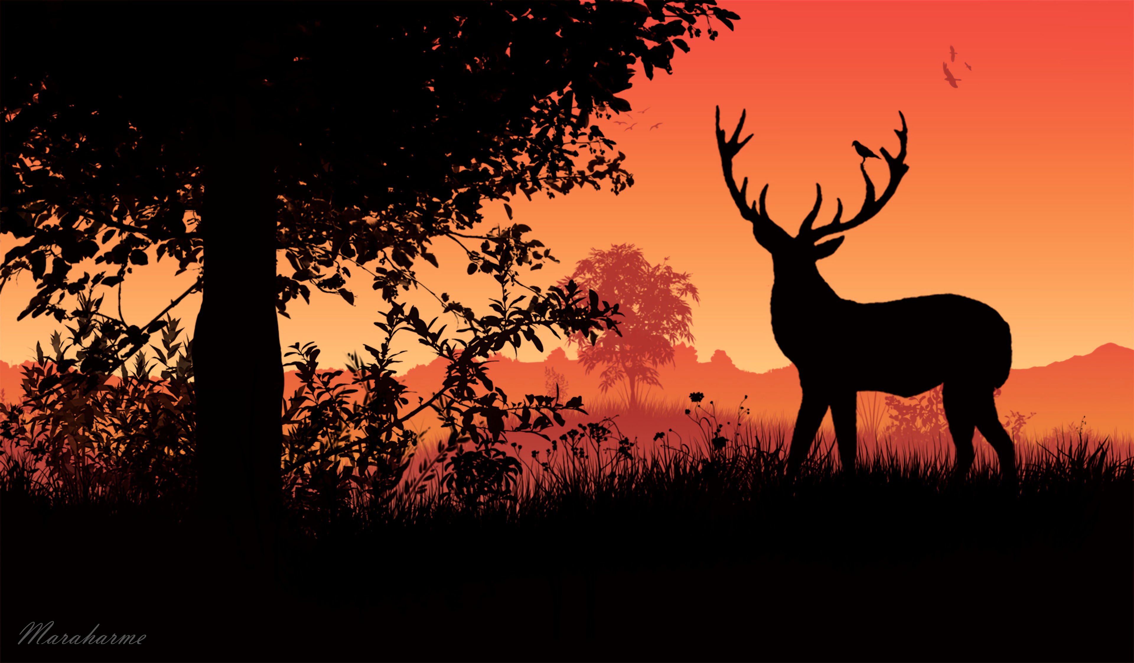 vector, sunset, silhouette, deer, horns