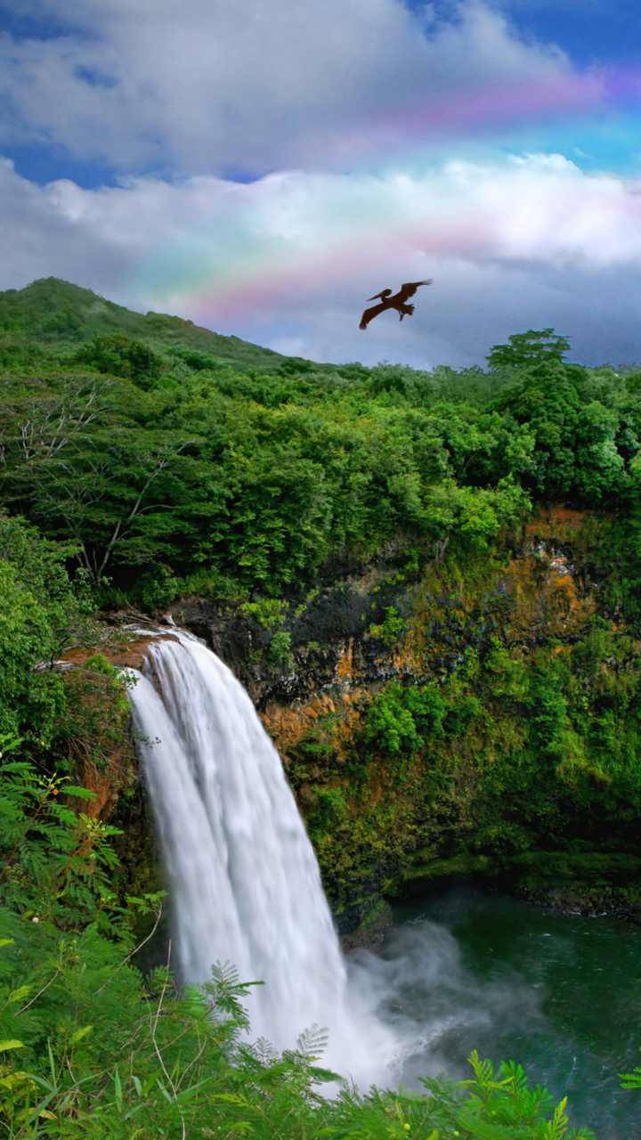 Download mobile wallpaper Waterfalls, Rainbow, Waterfall, Earth, Hawaii for free.