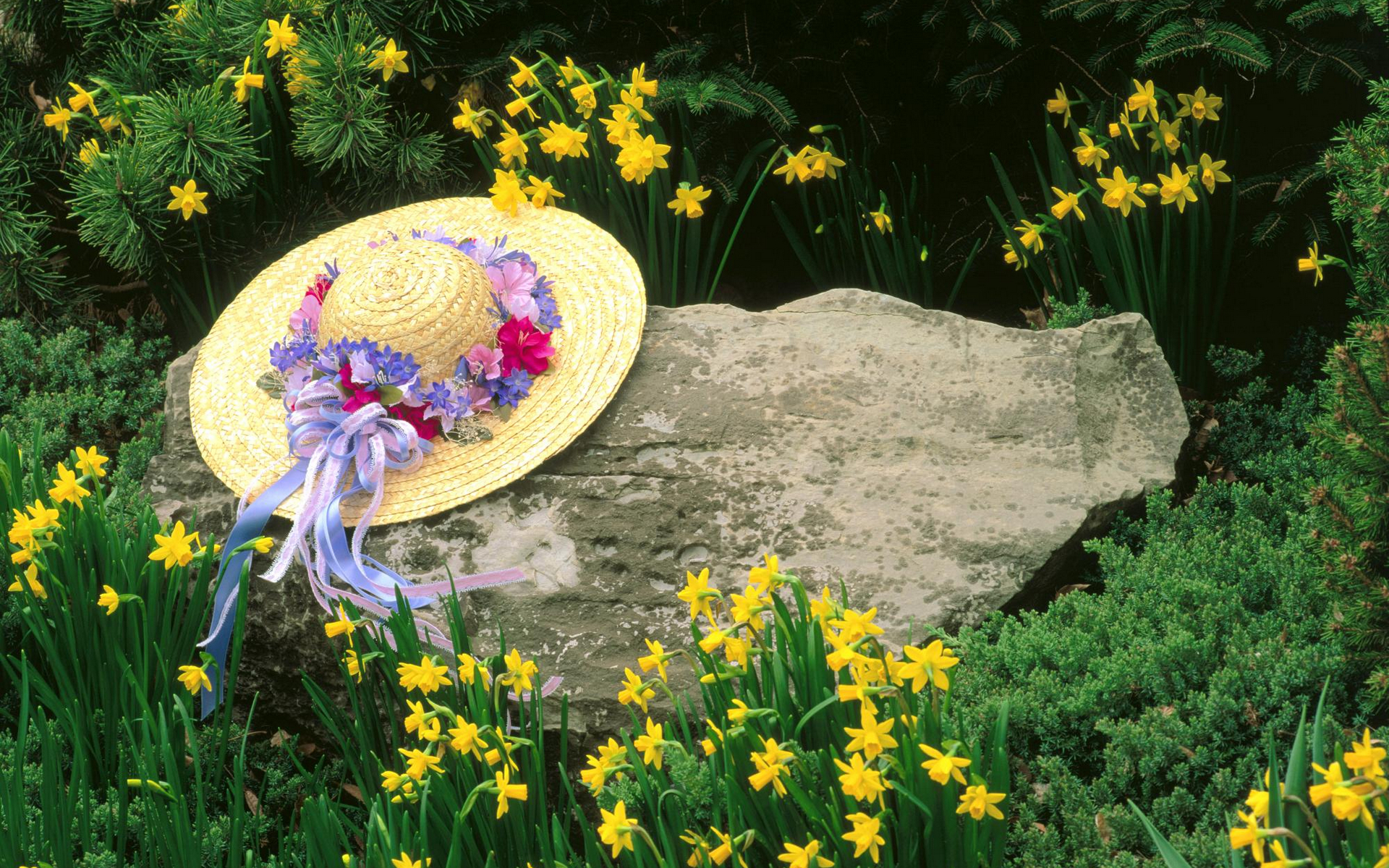 Free download wallpaper Still Life, Forest, Spring, Hat, Photography, Yellow Flower, Daffodil on your PC desktop