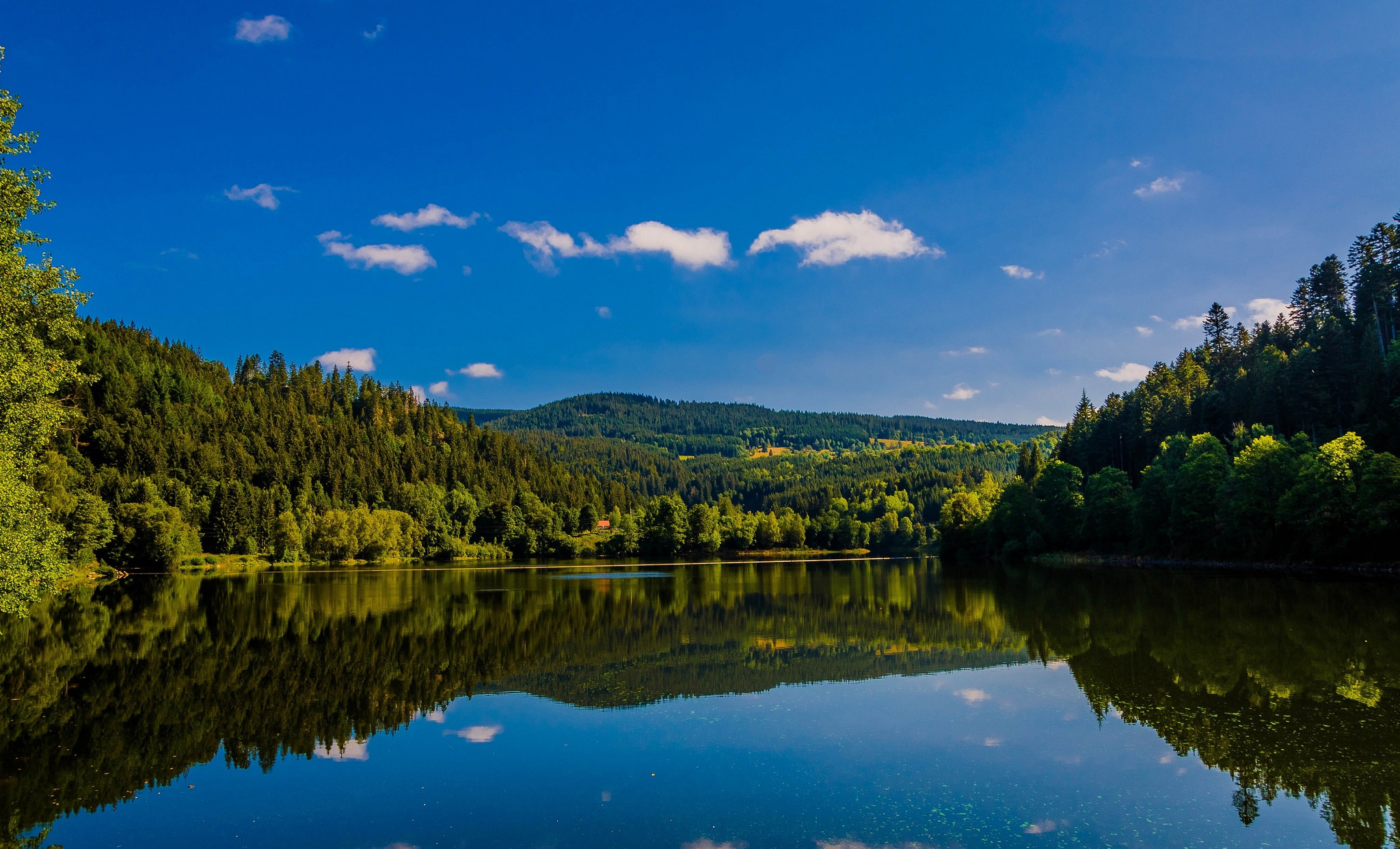 Download mobile wallpaper Nature, Sky, Lake, Reflection, Forest, Earth for free.