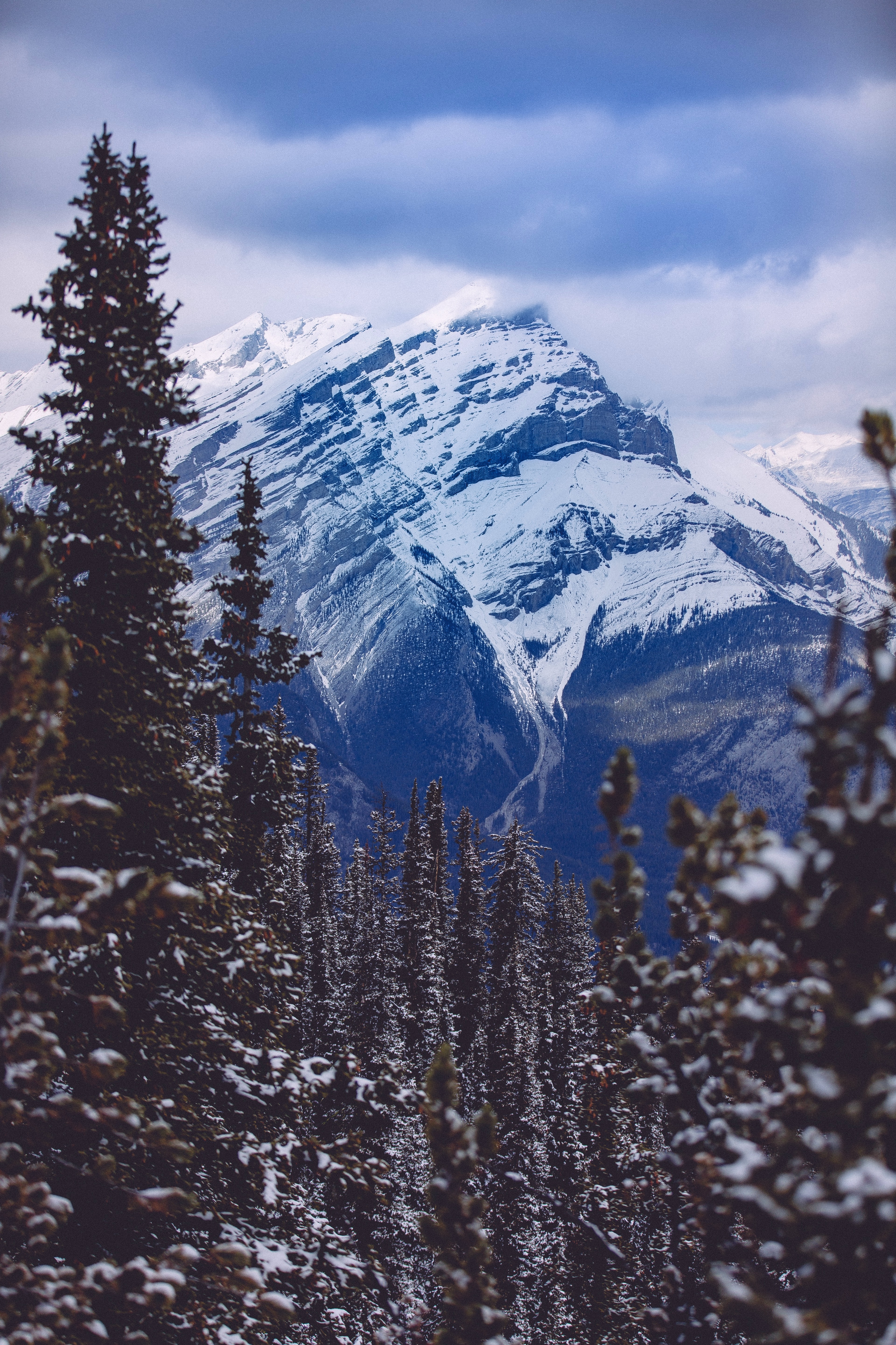 Laden Sie das Natur, Berg, Scheitel, Nach Oben, Fichte, Fir, Schneebedeckt, Snowbound, Wald-Bild kostenlos auf Ihren PC-Desktop herunter