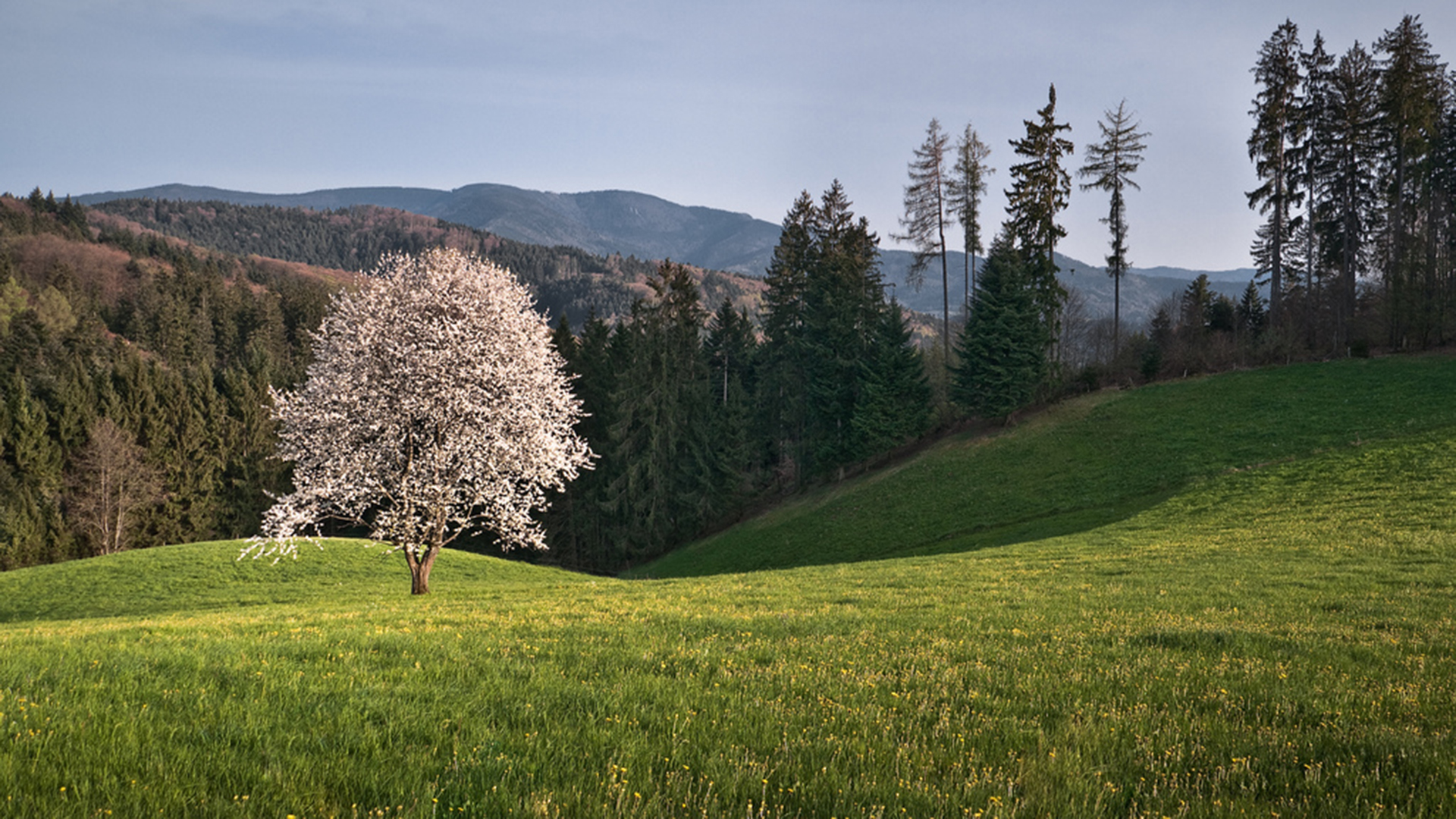 Free download wallpaper Landscape, Earth on your PC desktop