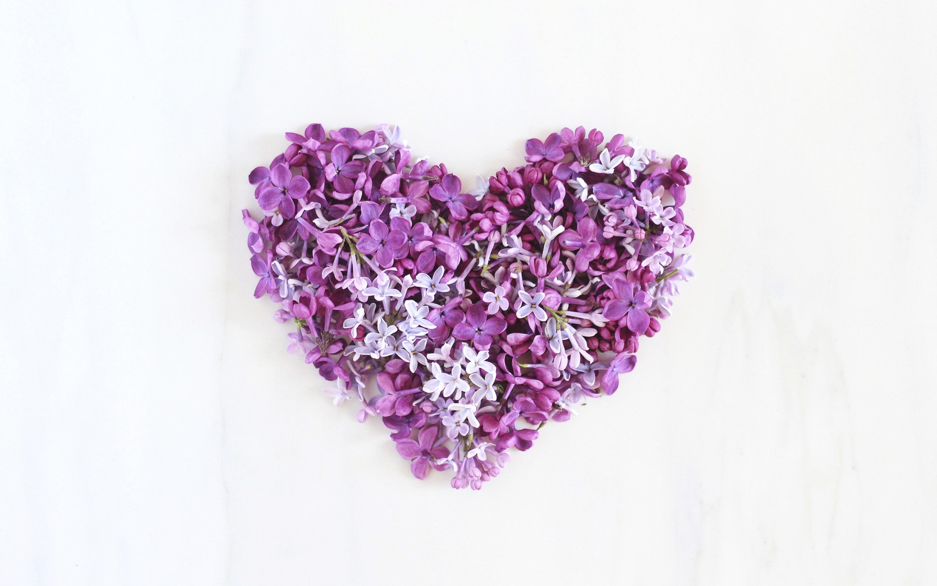 無料モバイル壁紙ライラック, 花, マンメイド, 心臓, 紫色の花をダウンロードします。
