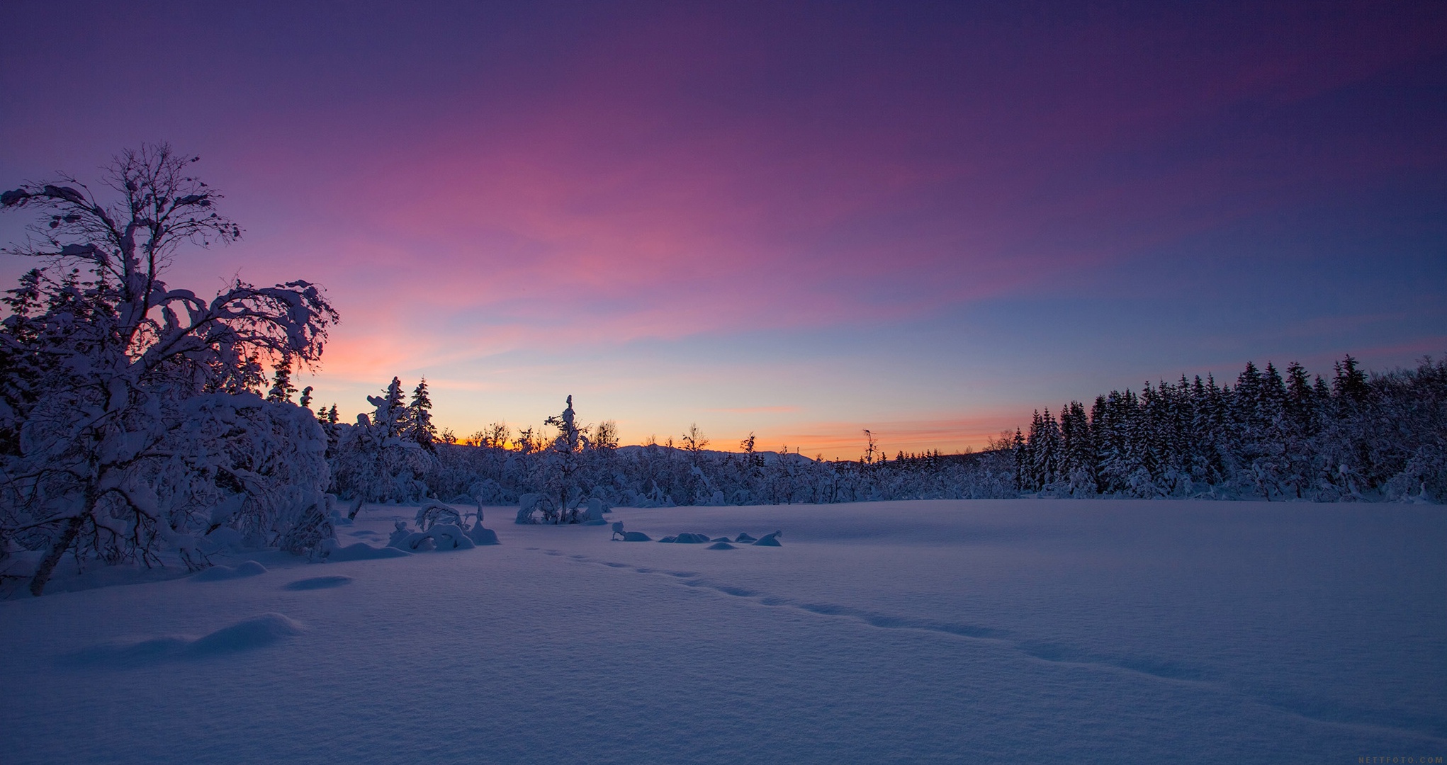 Free download wallpaper Winter, Nature, Snow, Earth on your PC desktop