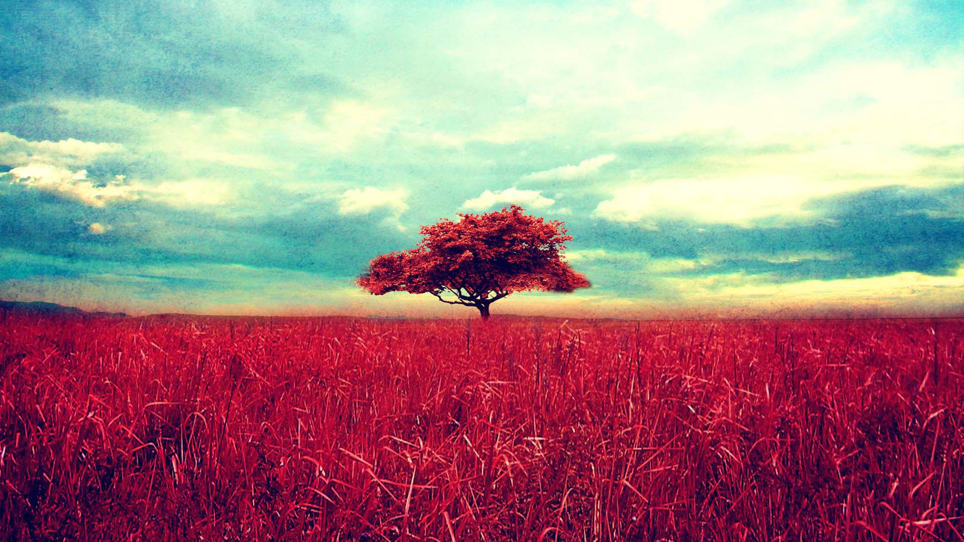 Free download wallpaper Nature, Trees, Tree, Fall, Earth, Field, Manipulation, Lonely Tree on your PC desktop