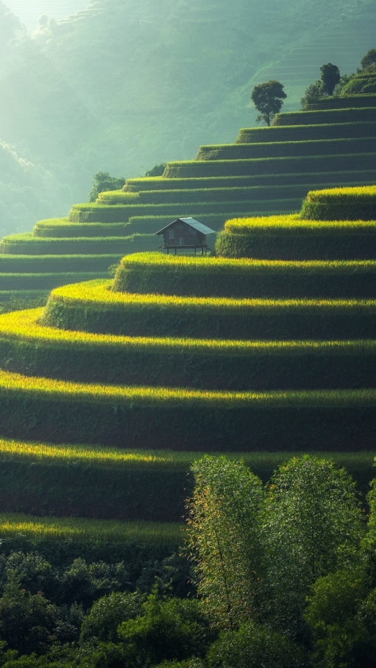 Download mobile wallpaper Nature, Vietnam, Man Made, Rice Terrace for free.