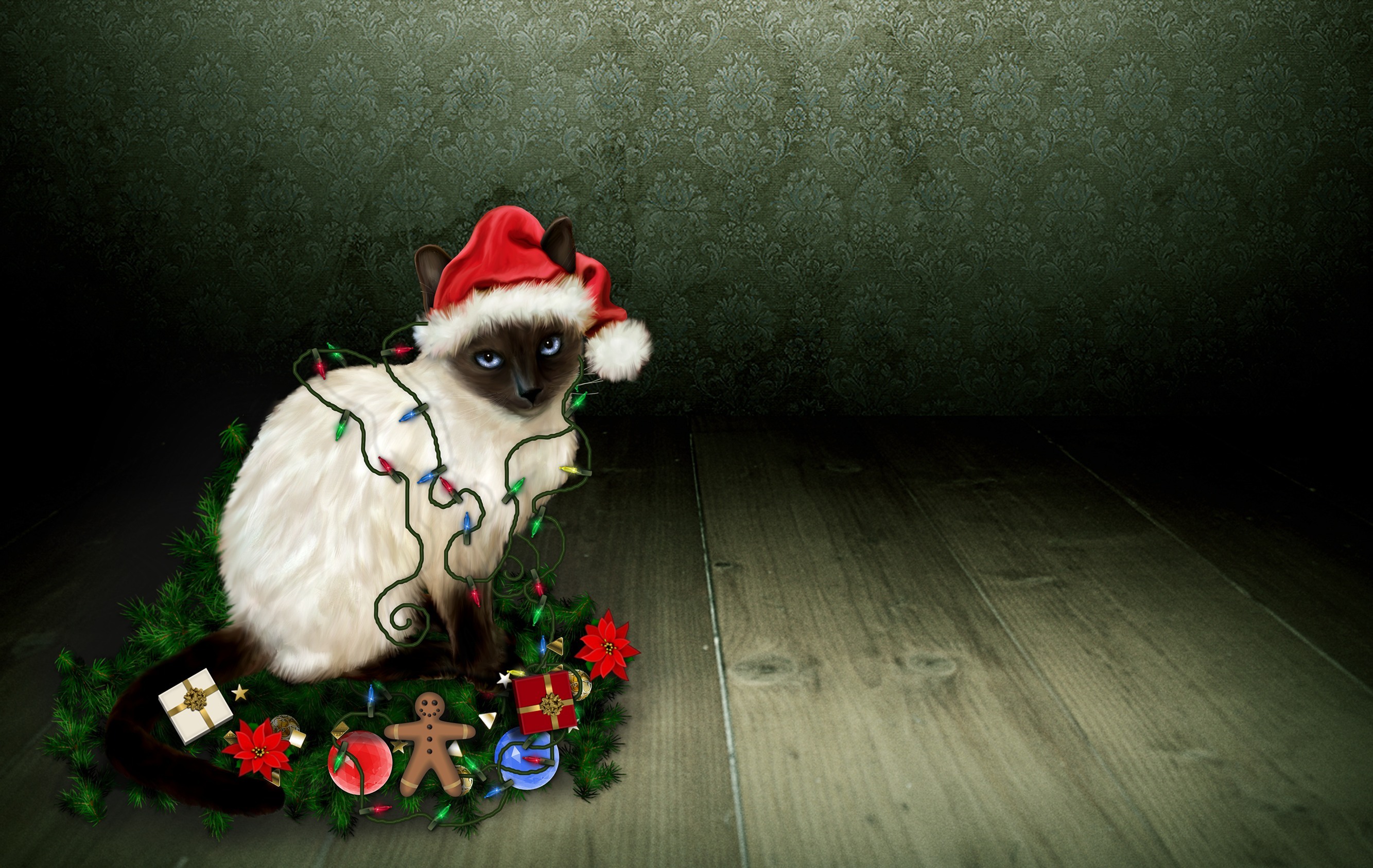 holiday, christmas, cat, christmas lights, decoration, santa hat, siamese cat