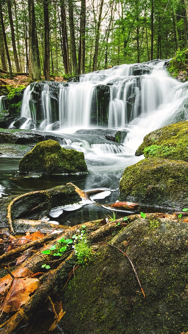 Descarga gratuita de fondo de pantalla para móvil de Naturaleza, Cascadas, Cascada, Bosque, Corriente, Chorro, Tierra/naturaleza.