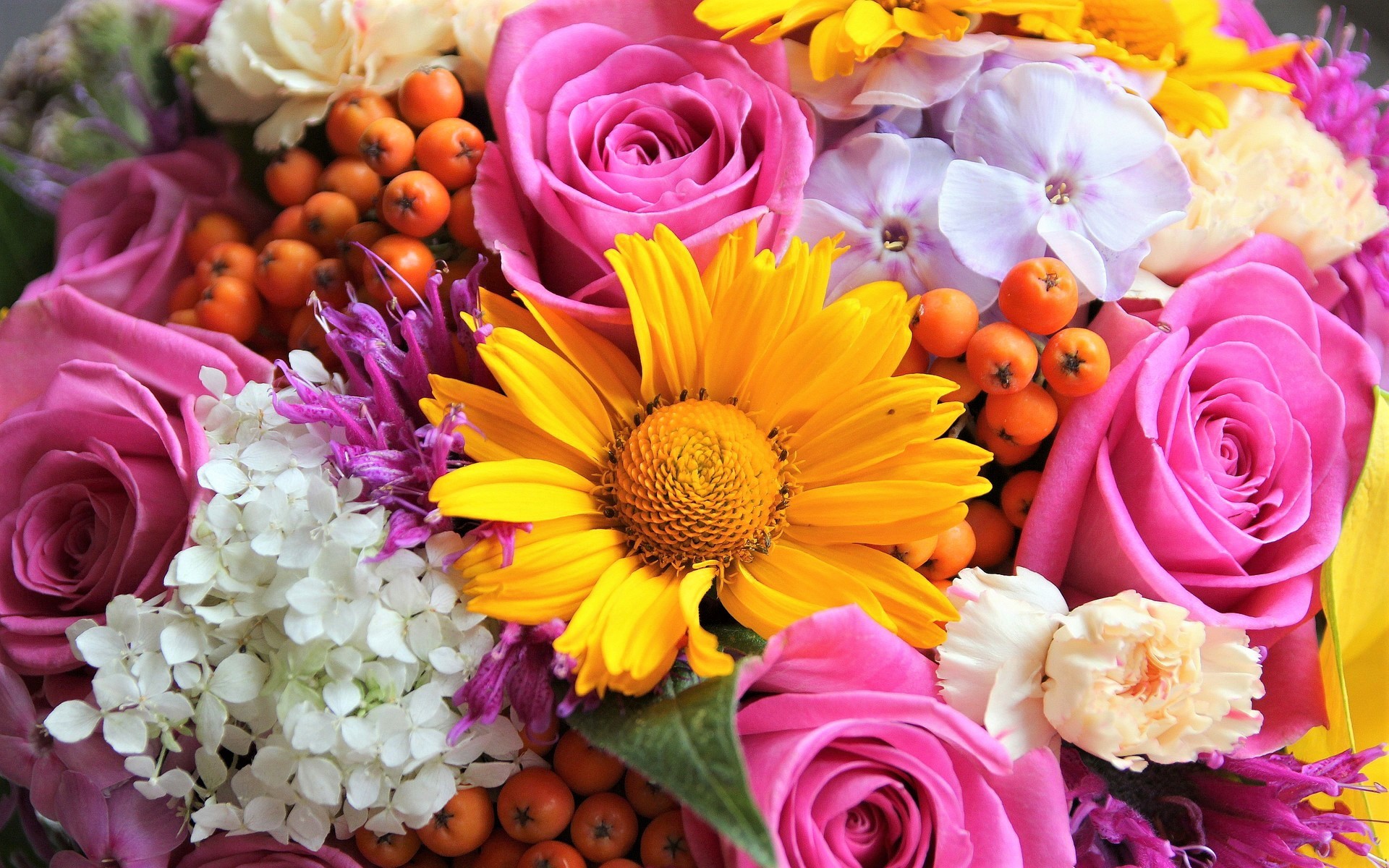 Handy-Wallpaper Blumen, Blume, Bunt, Gelbe Blume, Erde/natur, Pinke Blume kostenlos herunterladen.