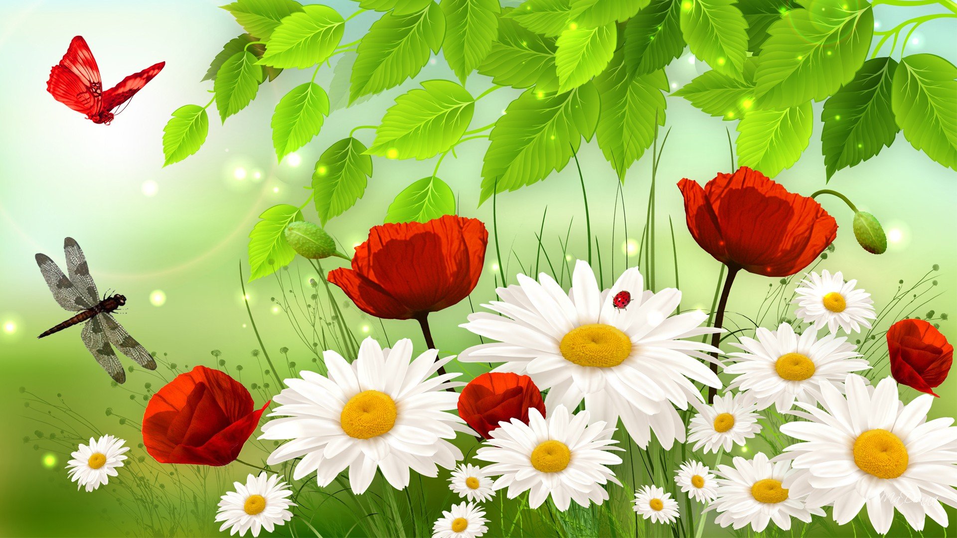 Free download wallpaper Flower, Butterfly, Spring, Artistic, Poppy, Daisy, Dragonfly on your PC desktop