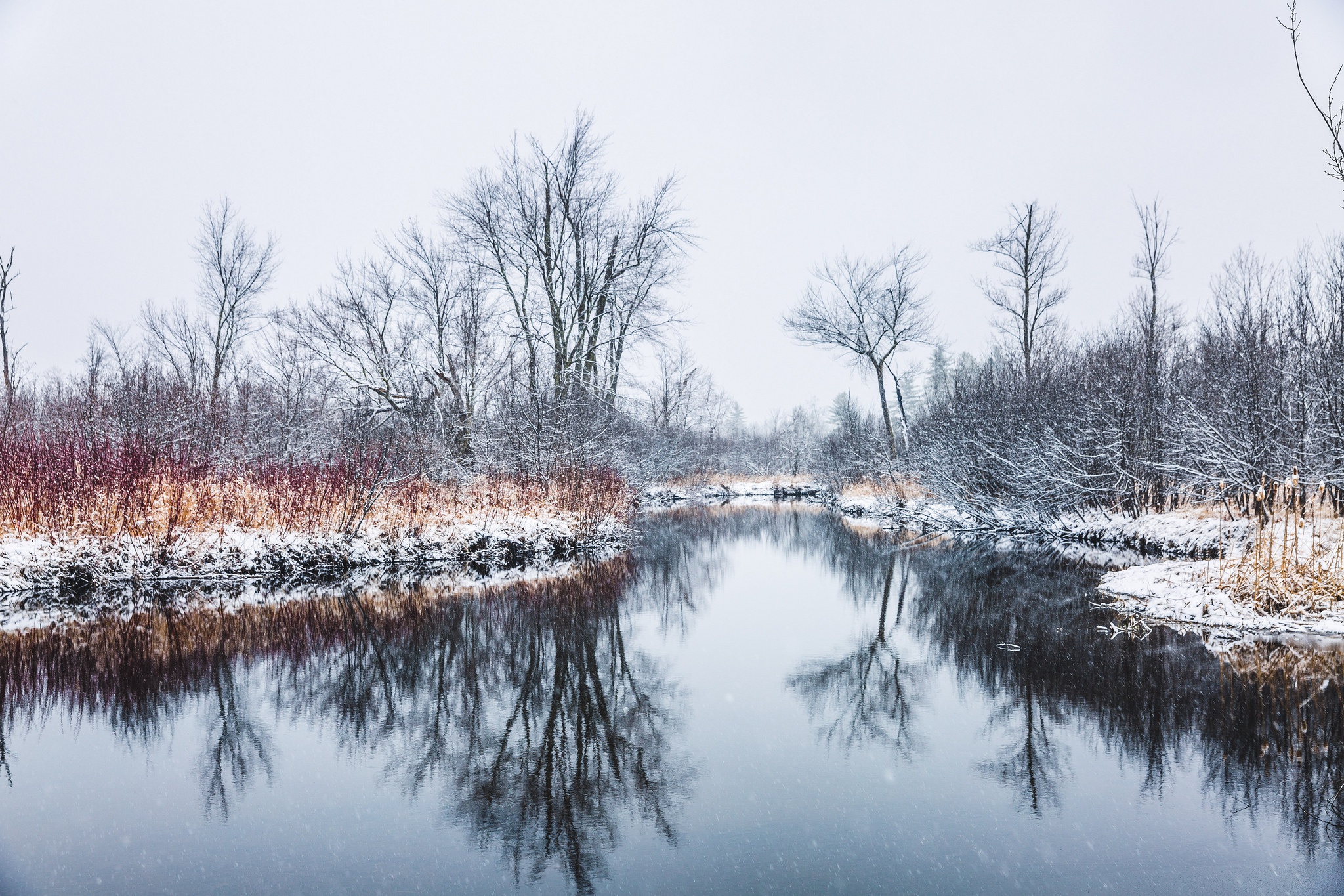 Download mobile wallpaper Winter, Nature, Snow, Lake, Reflection, Tree, Earth for free.