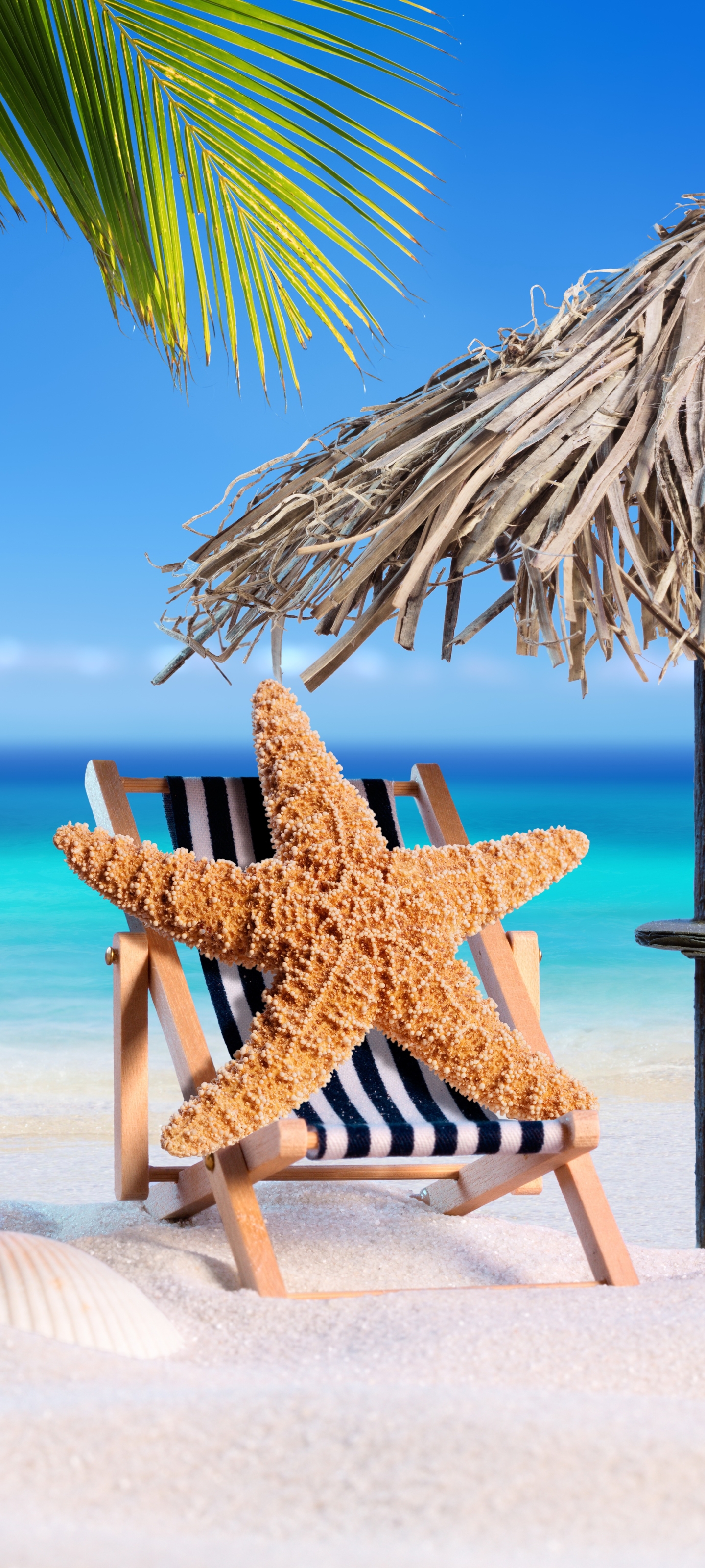 Download mobile wallpaper Beach, Sand, Summer, Starfish, Artistic, Tropical, Shell for free.