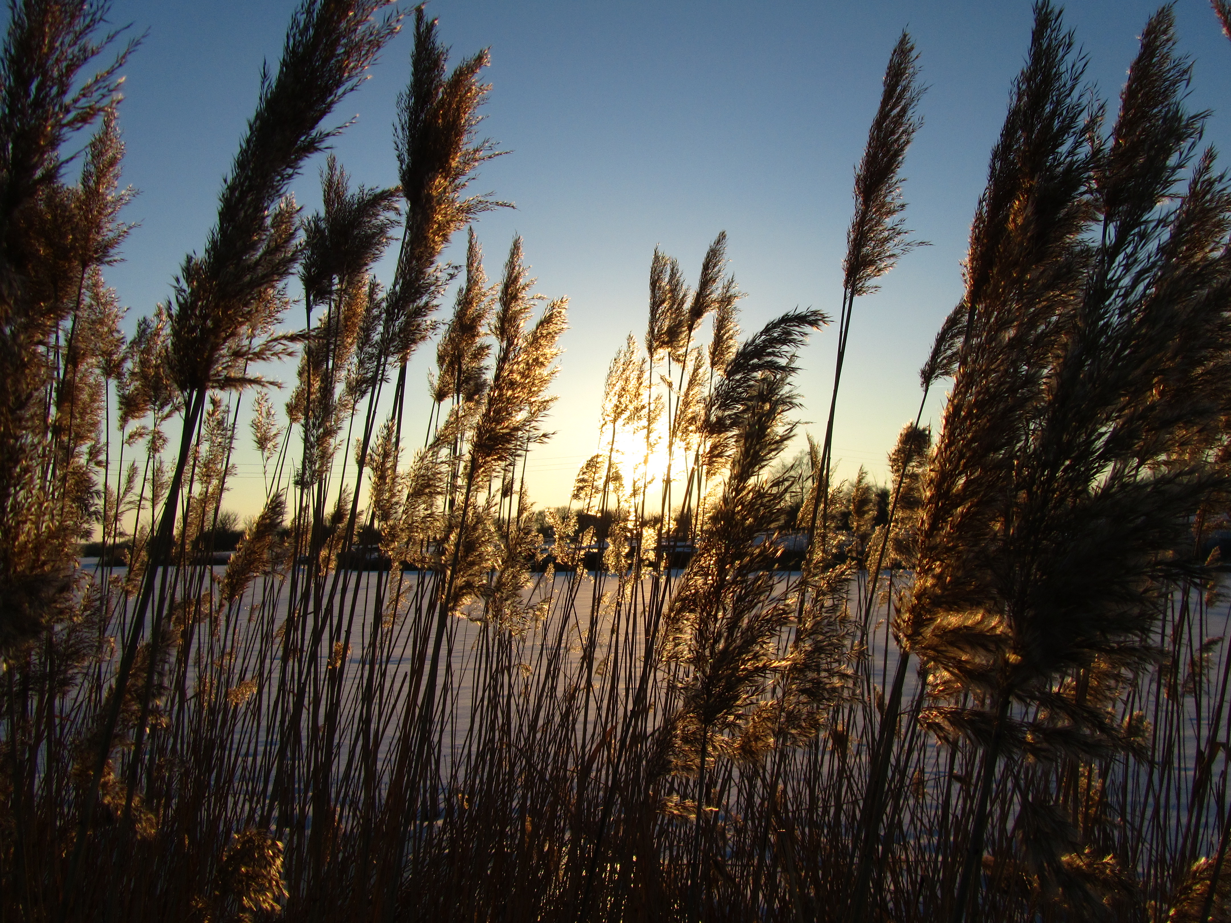 Descarga gratuita de fondo de pantalla para móvil de Rayo De Sol, Tierra/naturaleza.