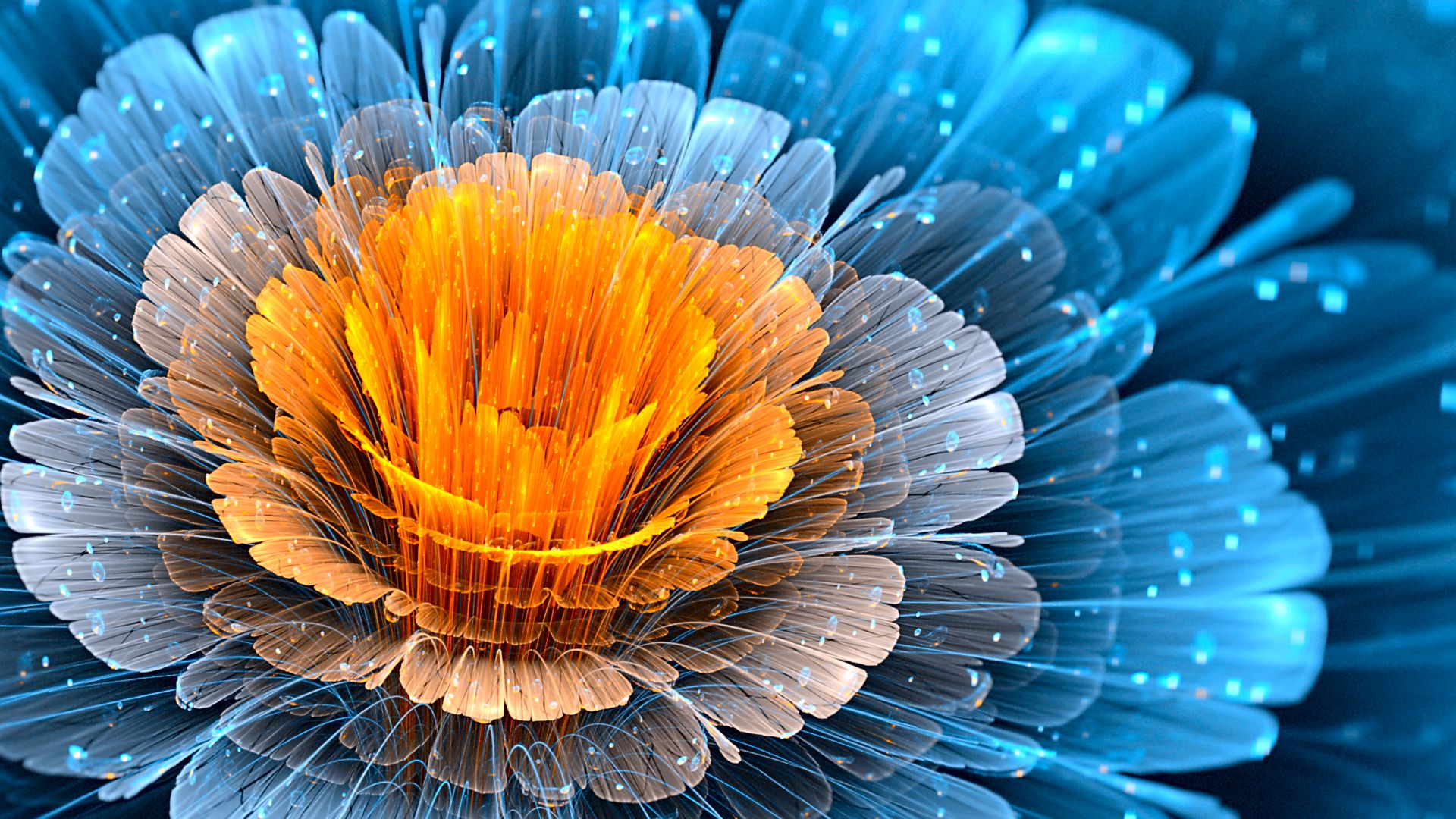 Free download wallpaper Abstract, Flower, Fractal, Orange (Color) on your PC desktop