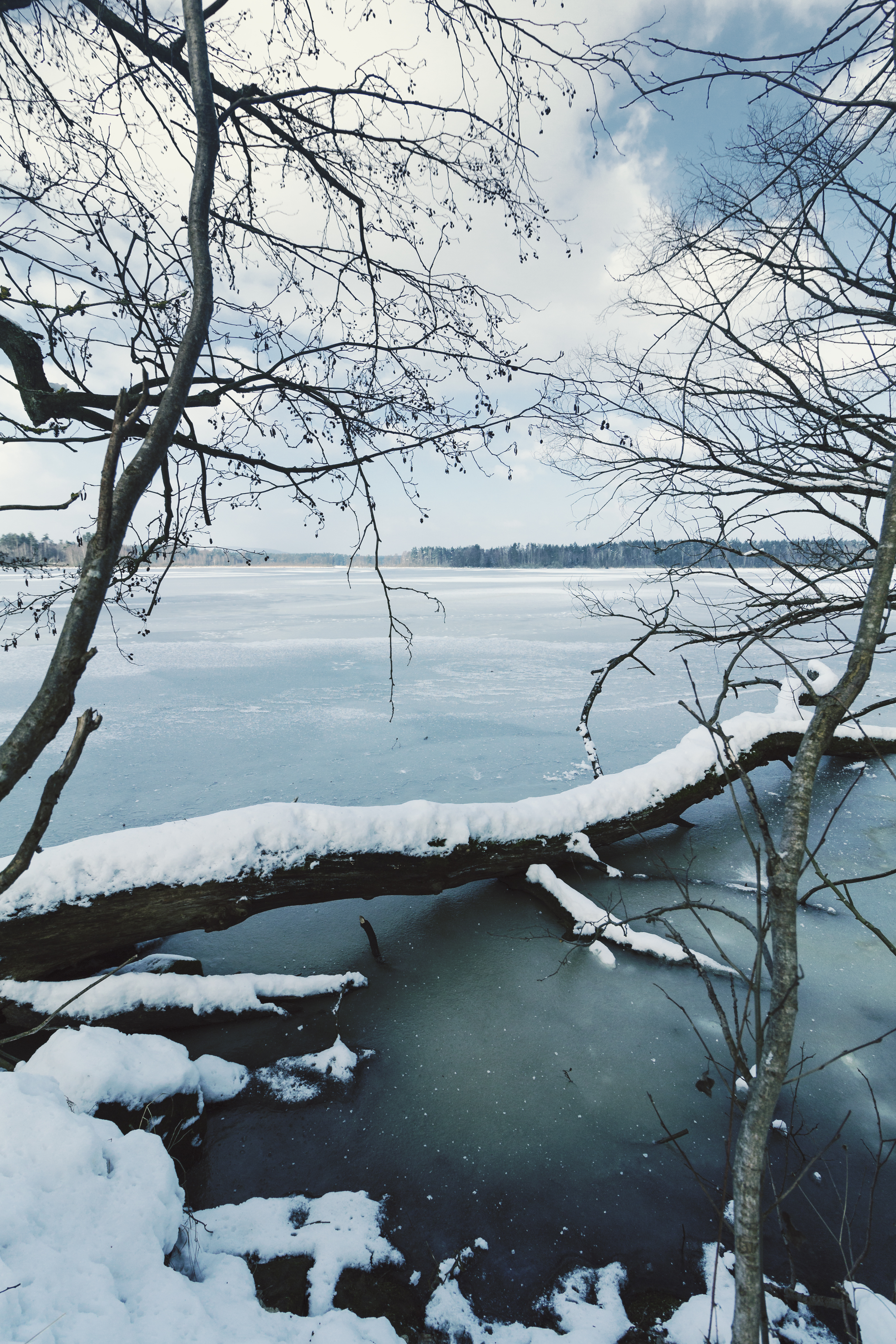 Скачать картинку Снег, Деревья, Ветки, Река, Лед, Природа, Зима в телефон бесплатно.