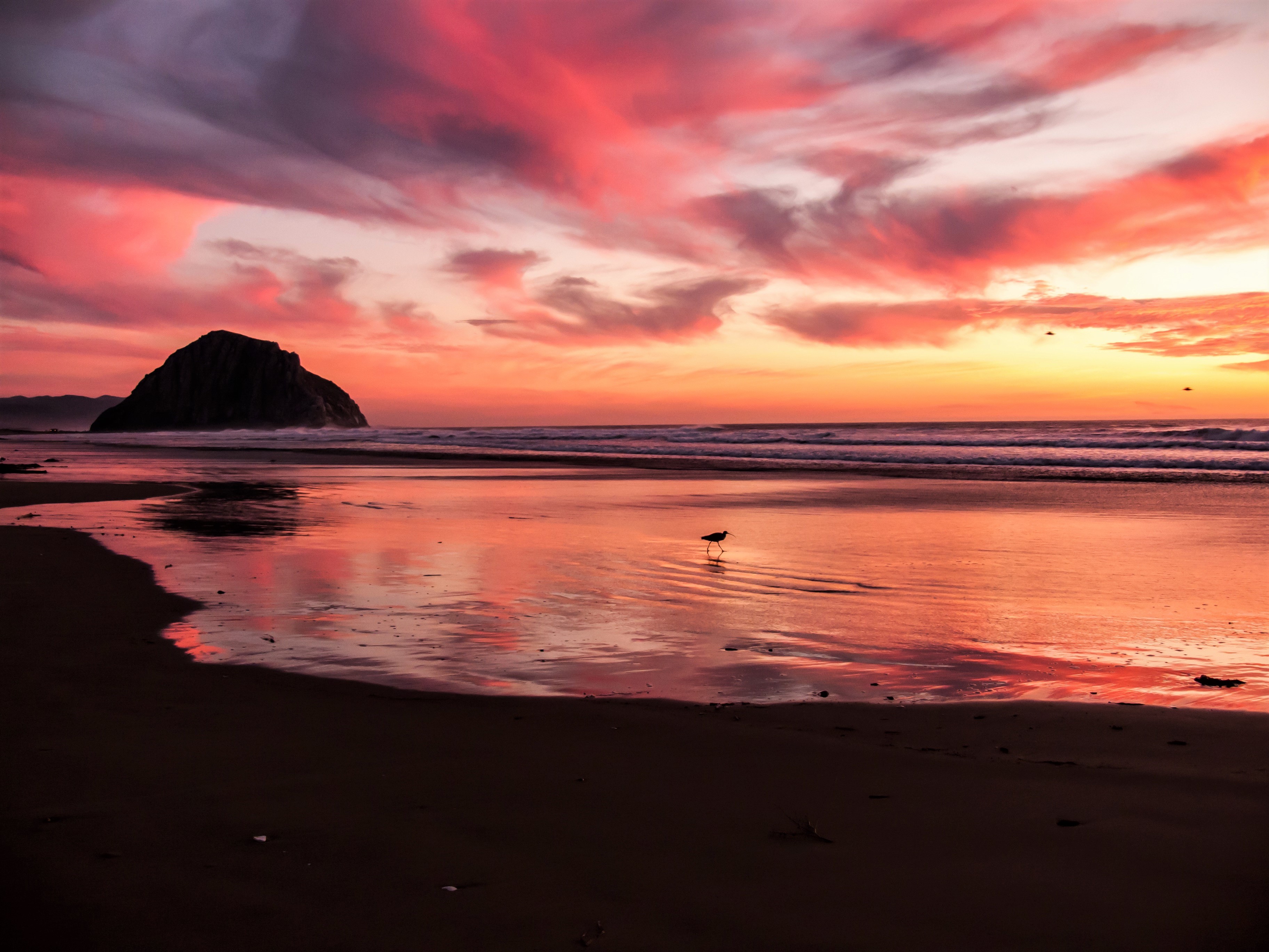 Download mobile wallpaper Sunset, Sea, Pink, Beach, Horizon, Ocean, Earth for free.