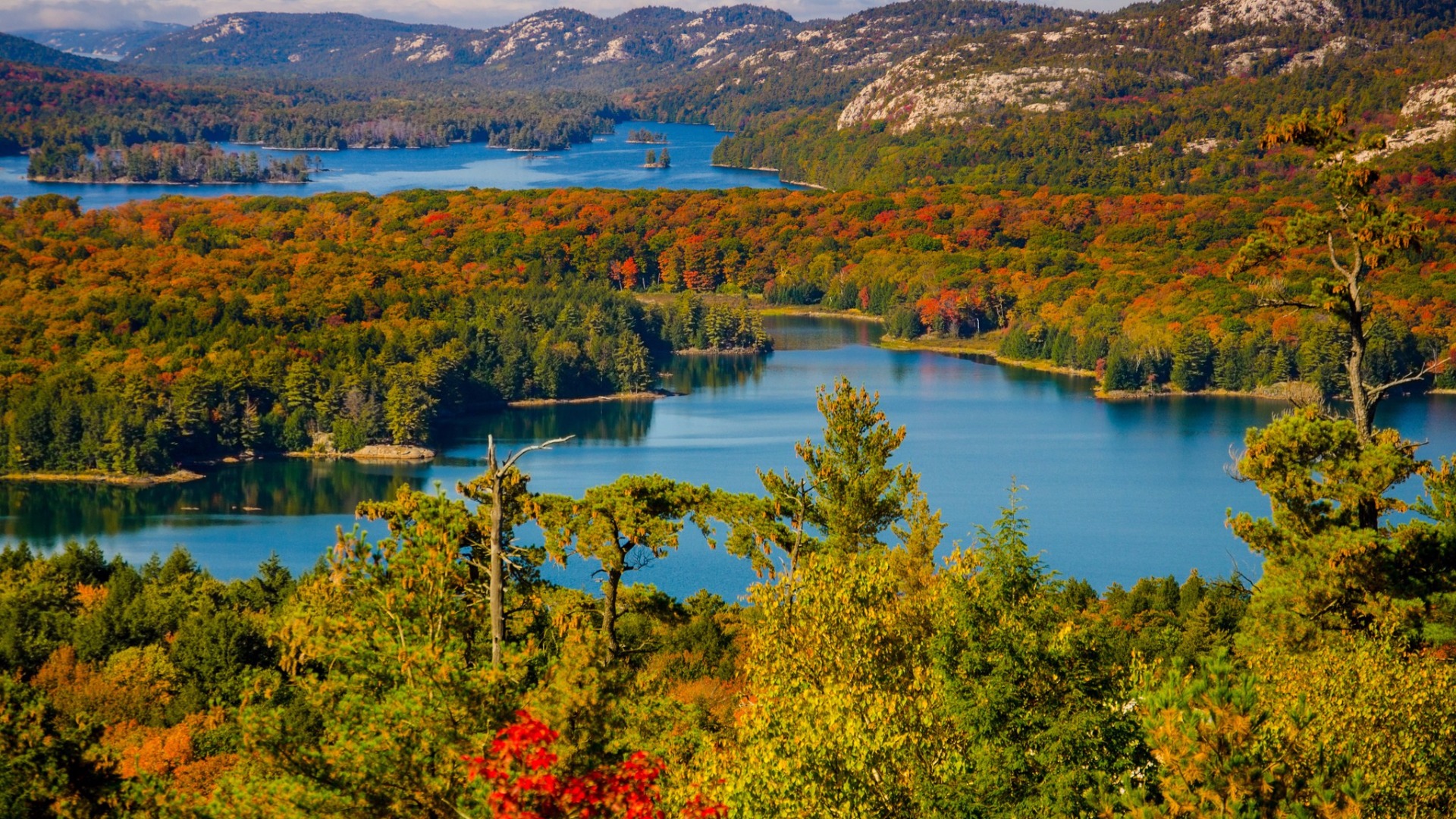 Скачать картинку Осень, Озера, Озеро, Лес, Земля/природа в телефон бесплатно.
