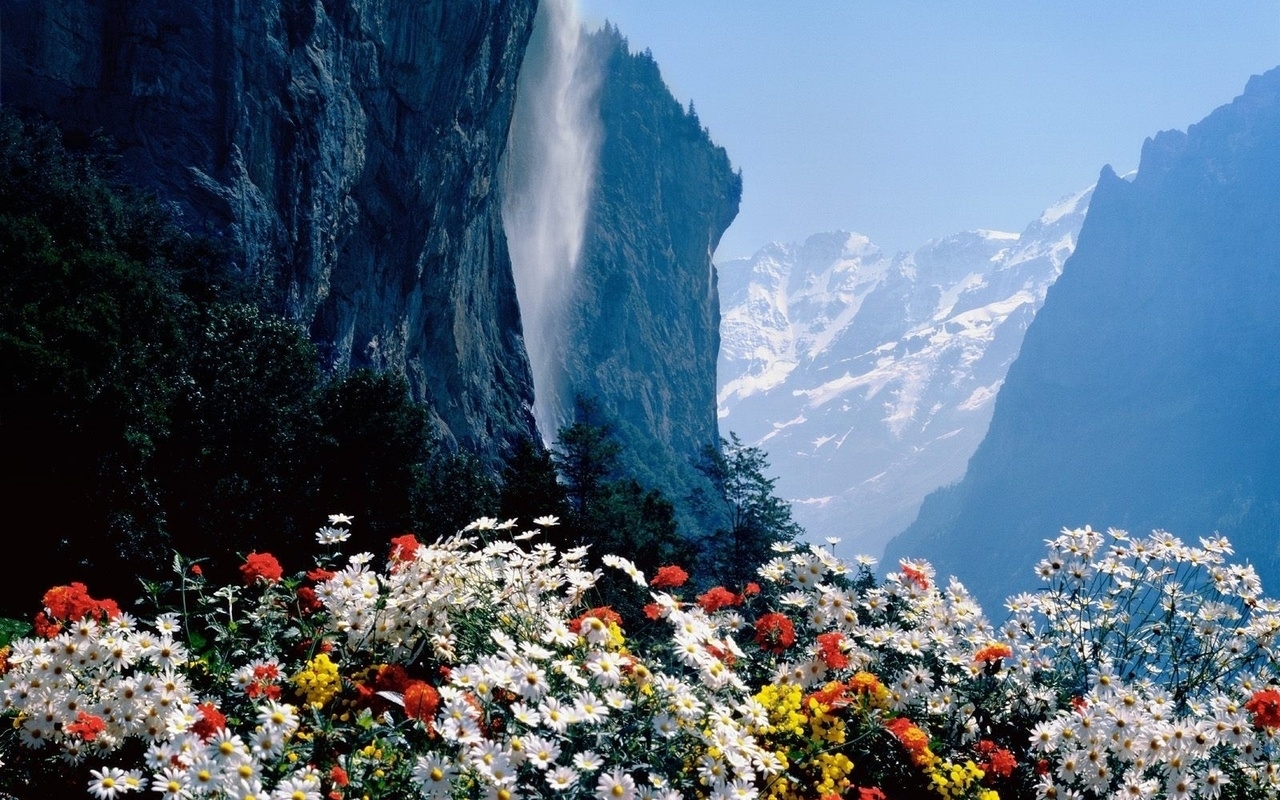 Téléchargez des papiers peints mobile Montagnes, Nature, Fleurs, Plantes, Paysage gratuitement.